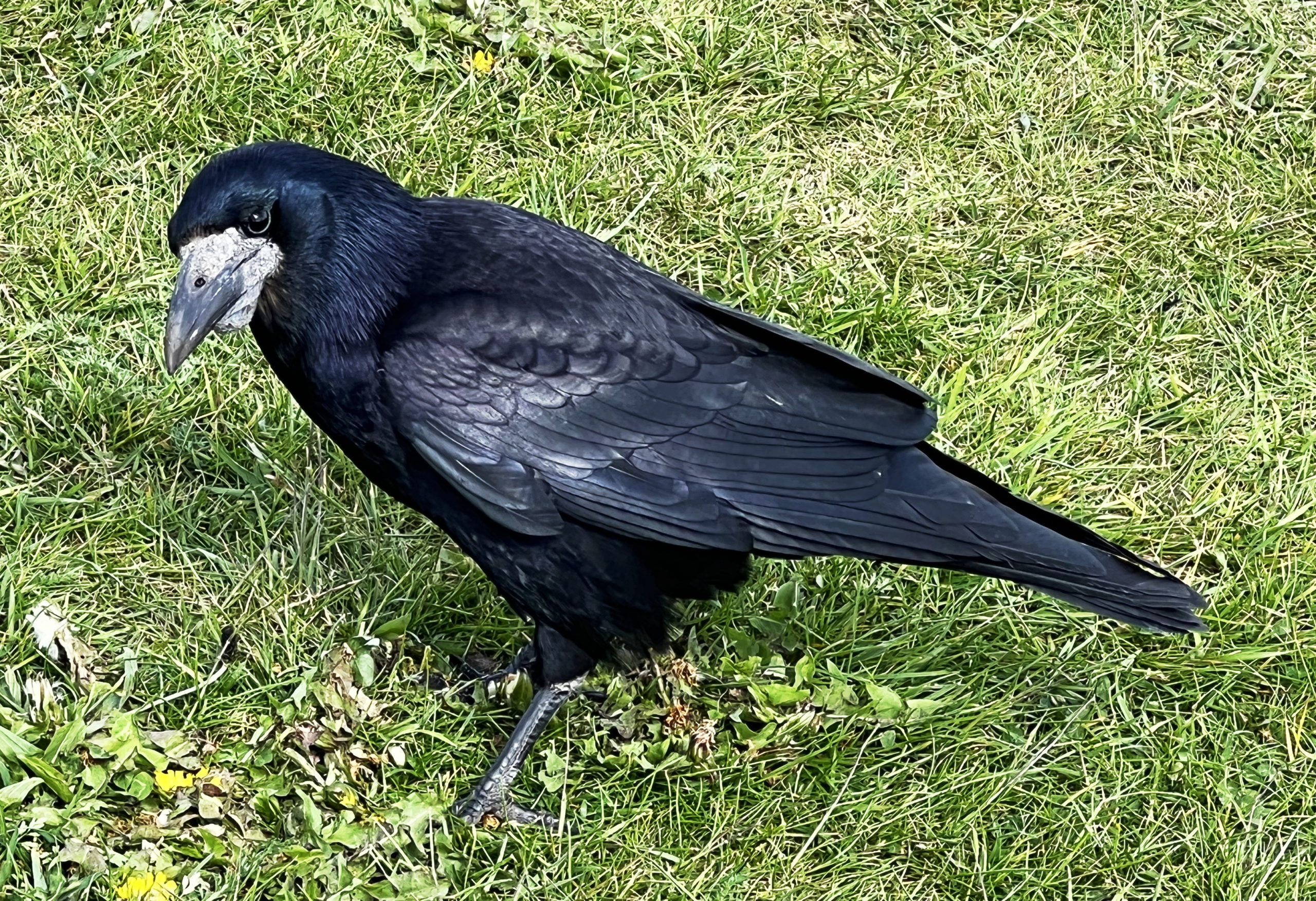 Featured Image
