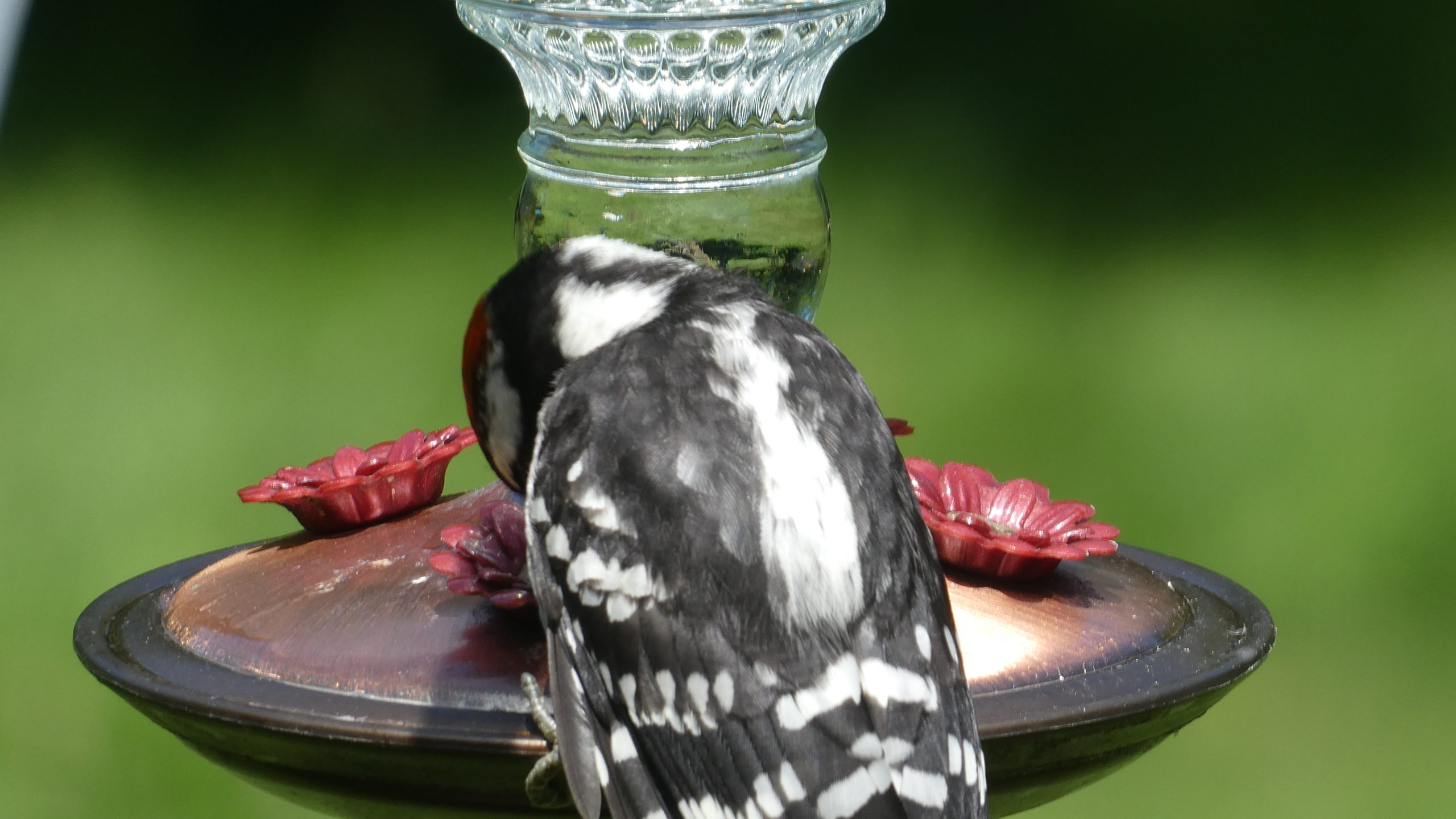 Additional Image 2