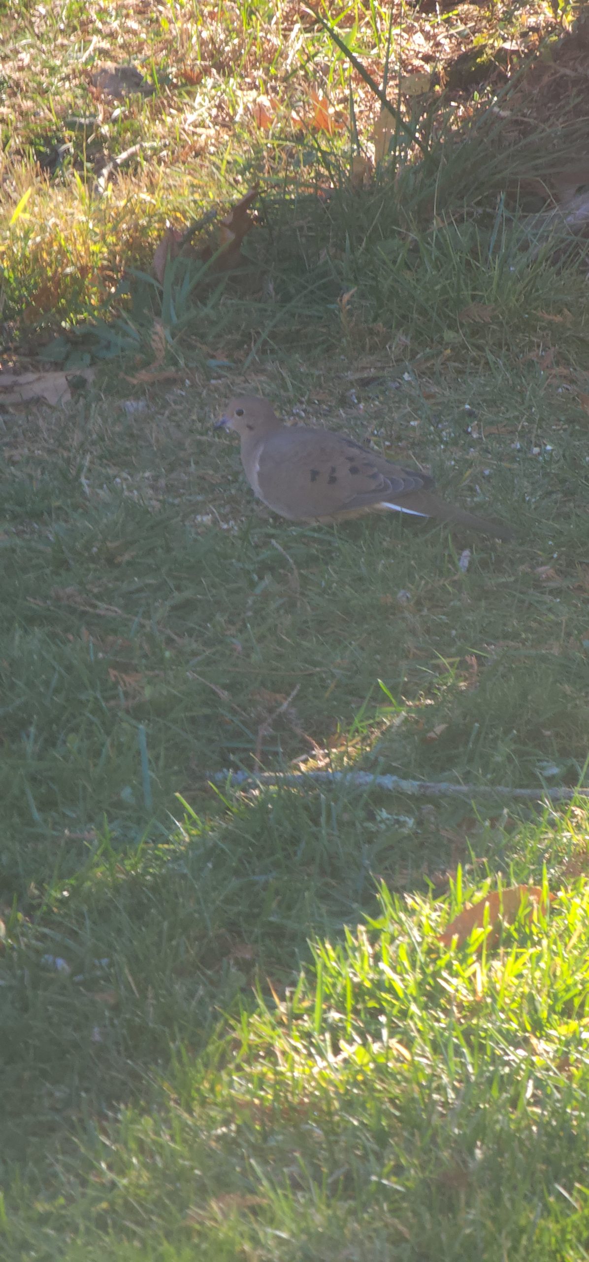 Additional Image 2