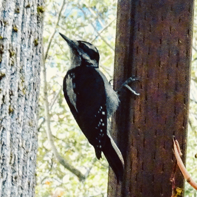 Additional Image 3