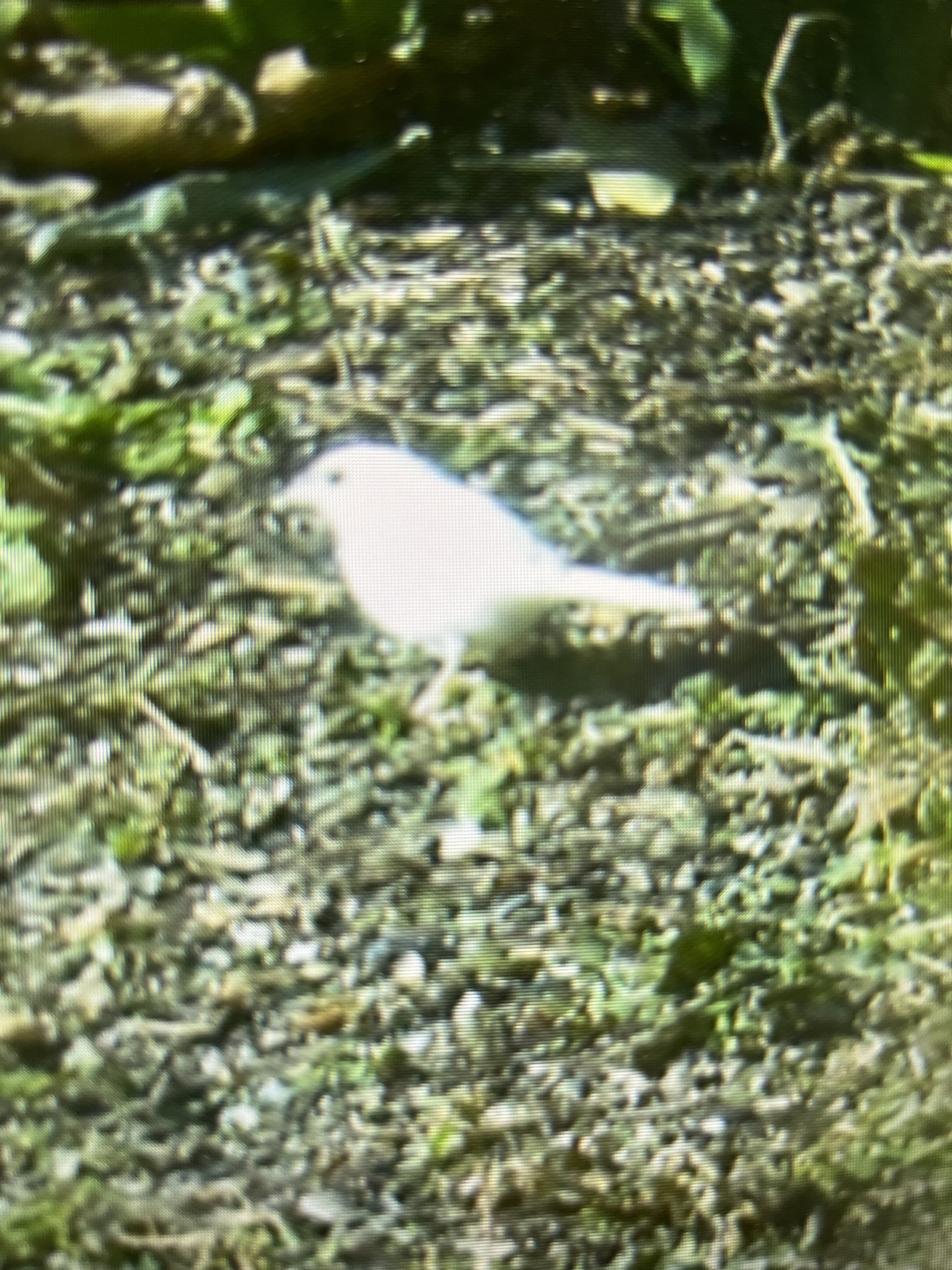 Additional Image 2