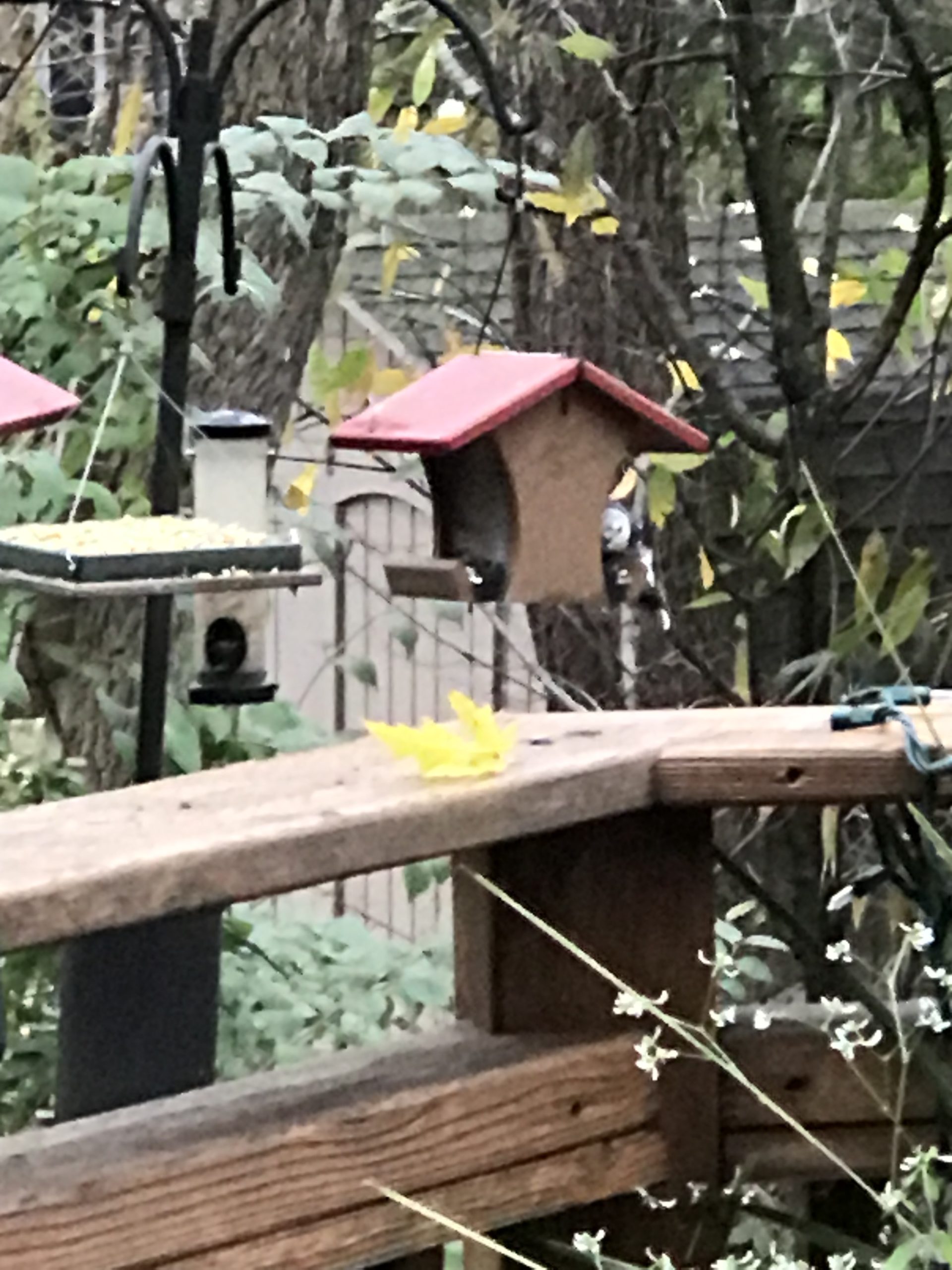 Additional Image 2