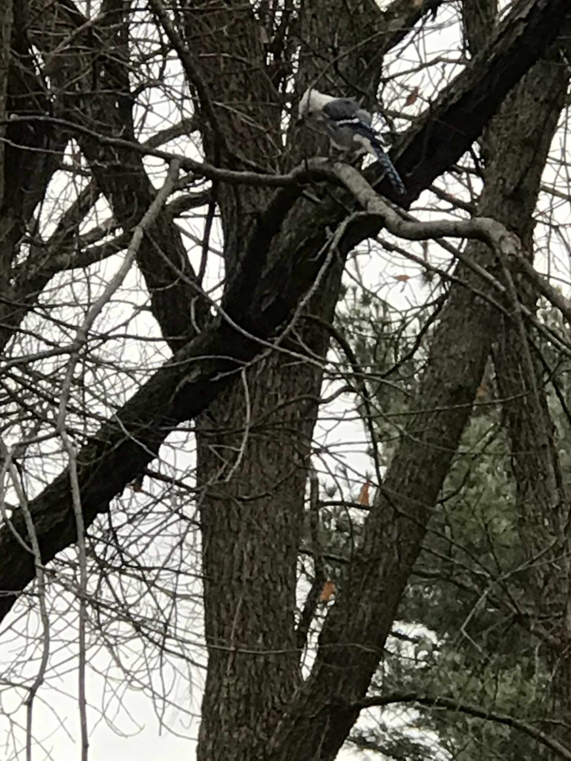 Additional Image 3