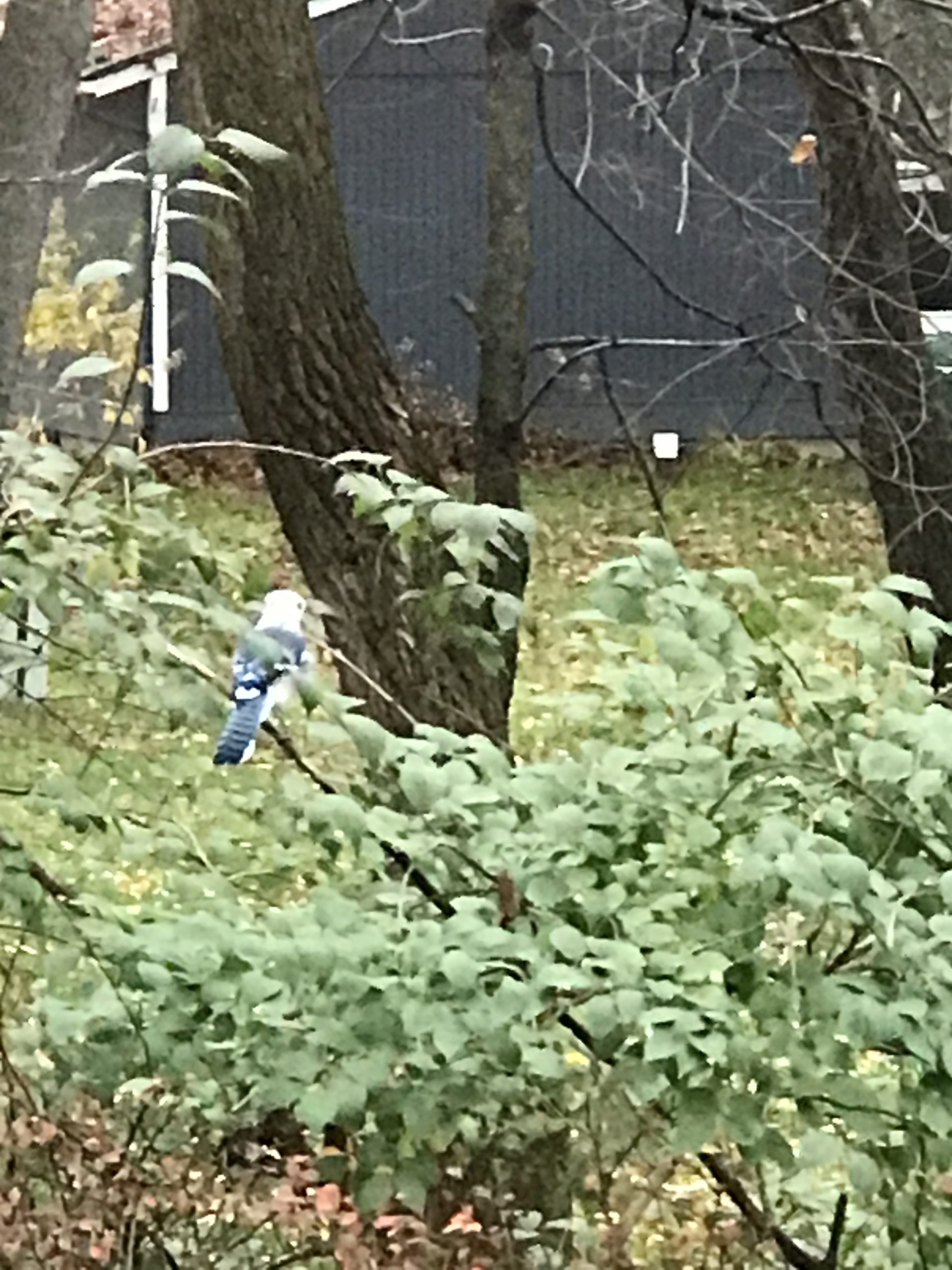Additional Image 4