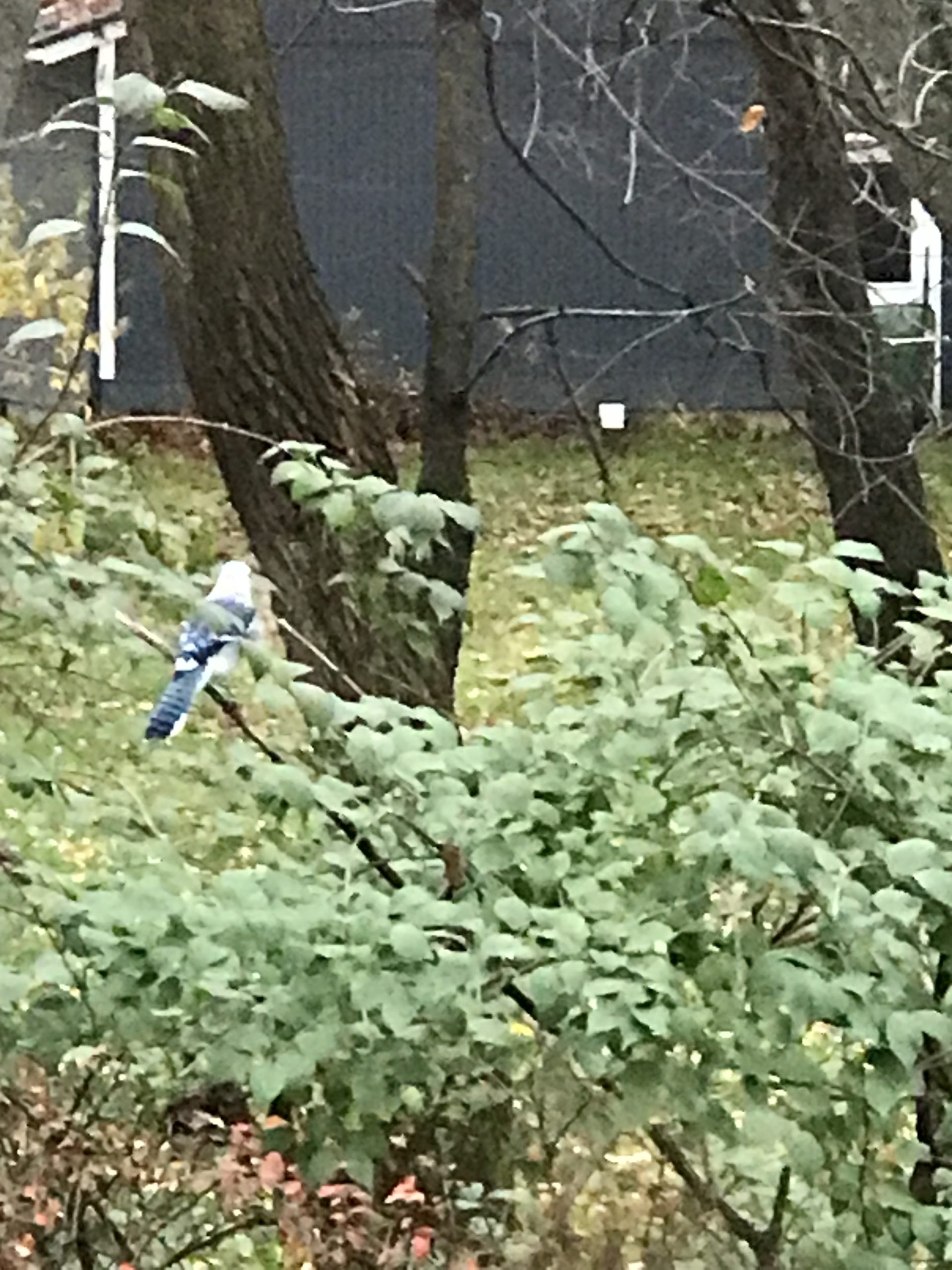 Additional Image 5