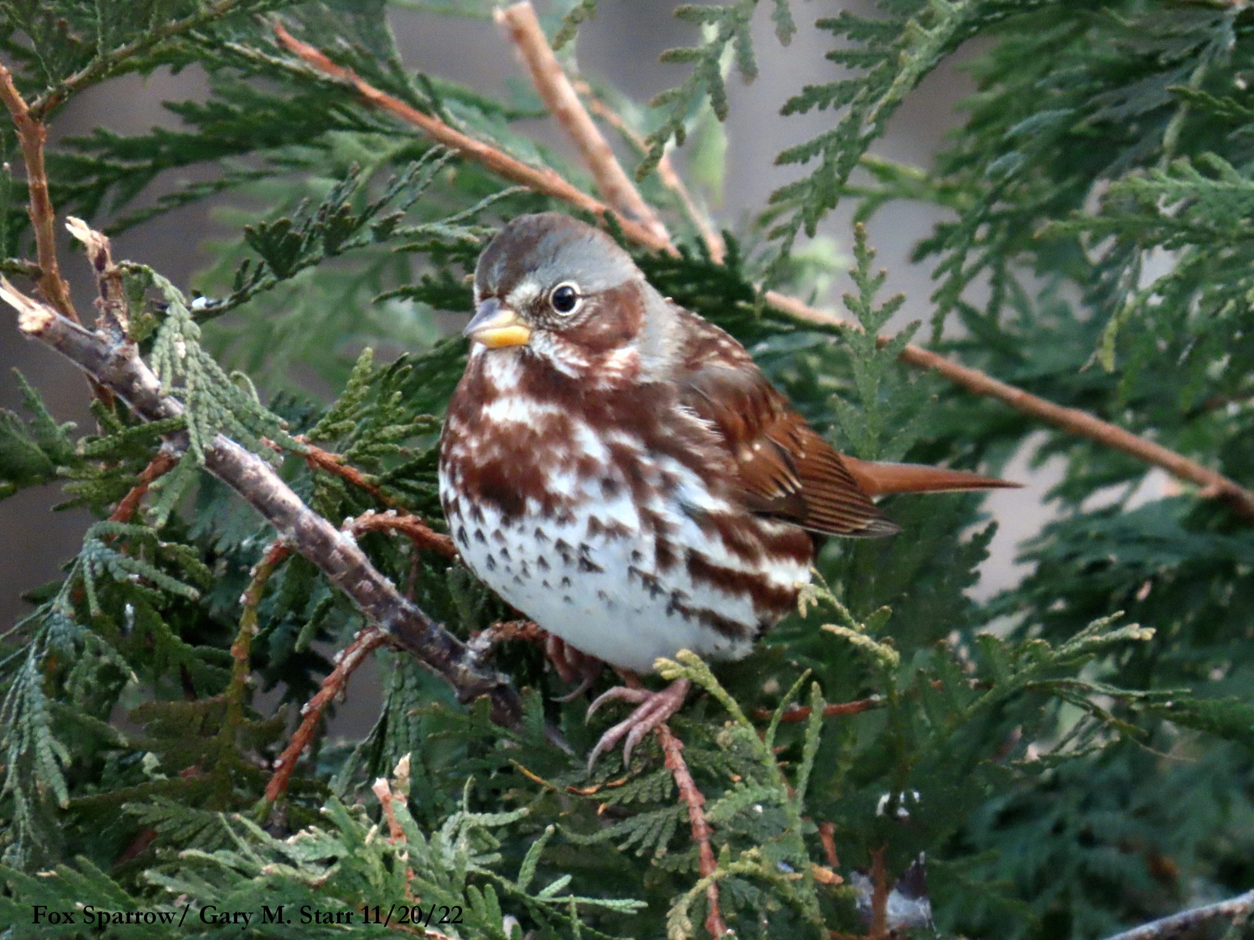Featured Image