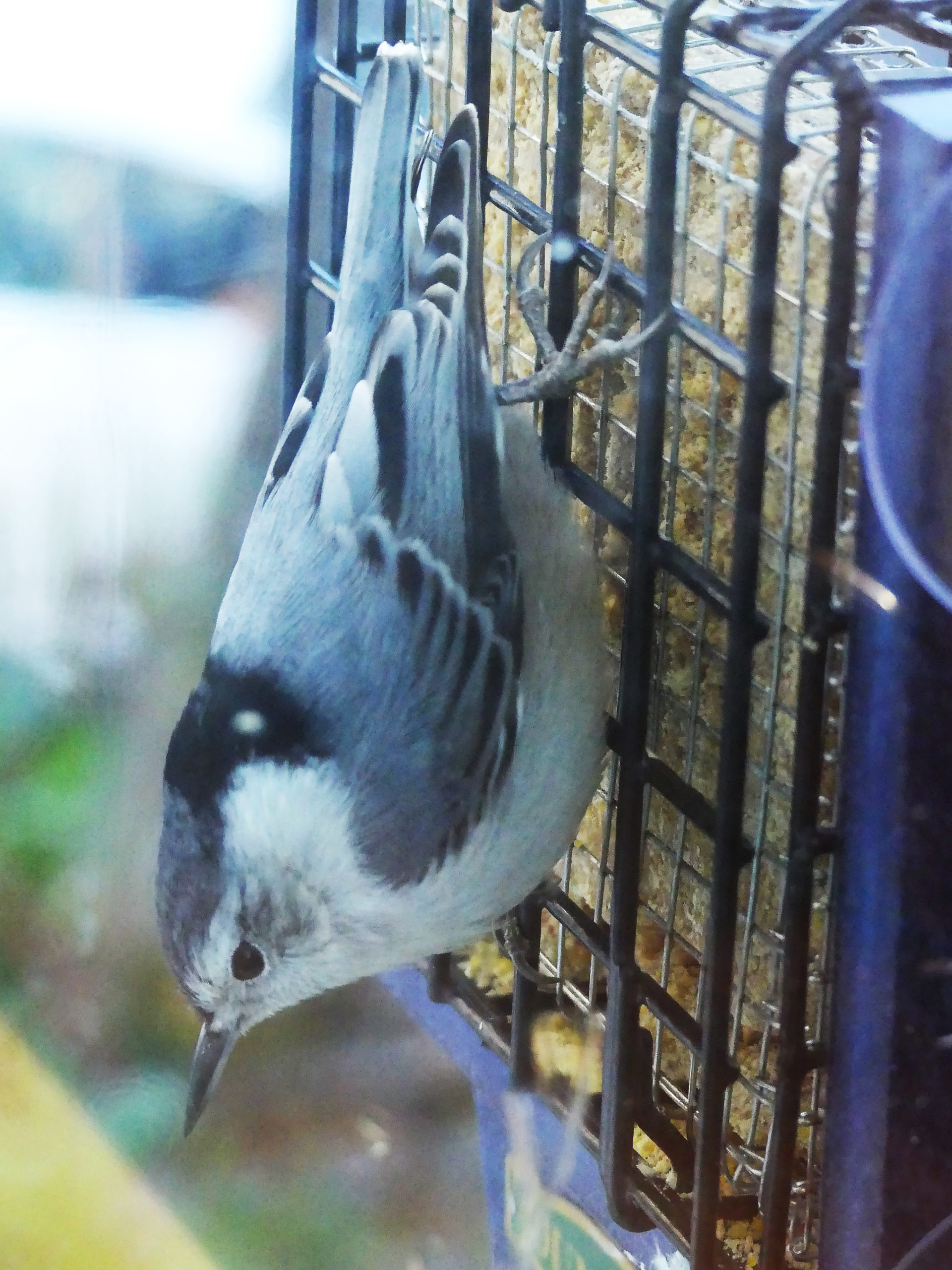 Additional Image 2