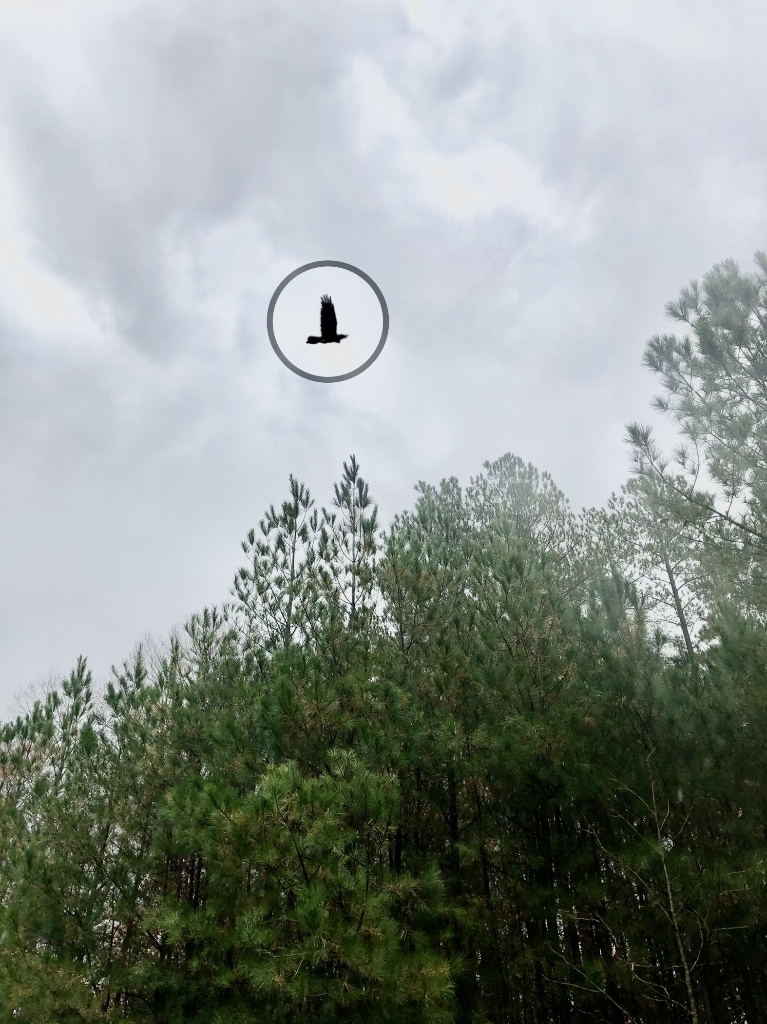 Additional Image 2