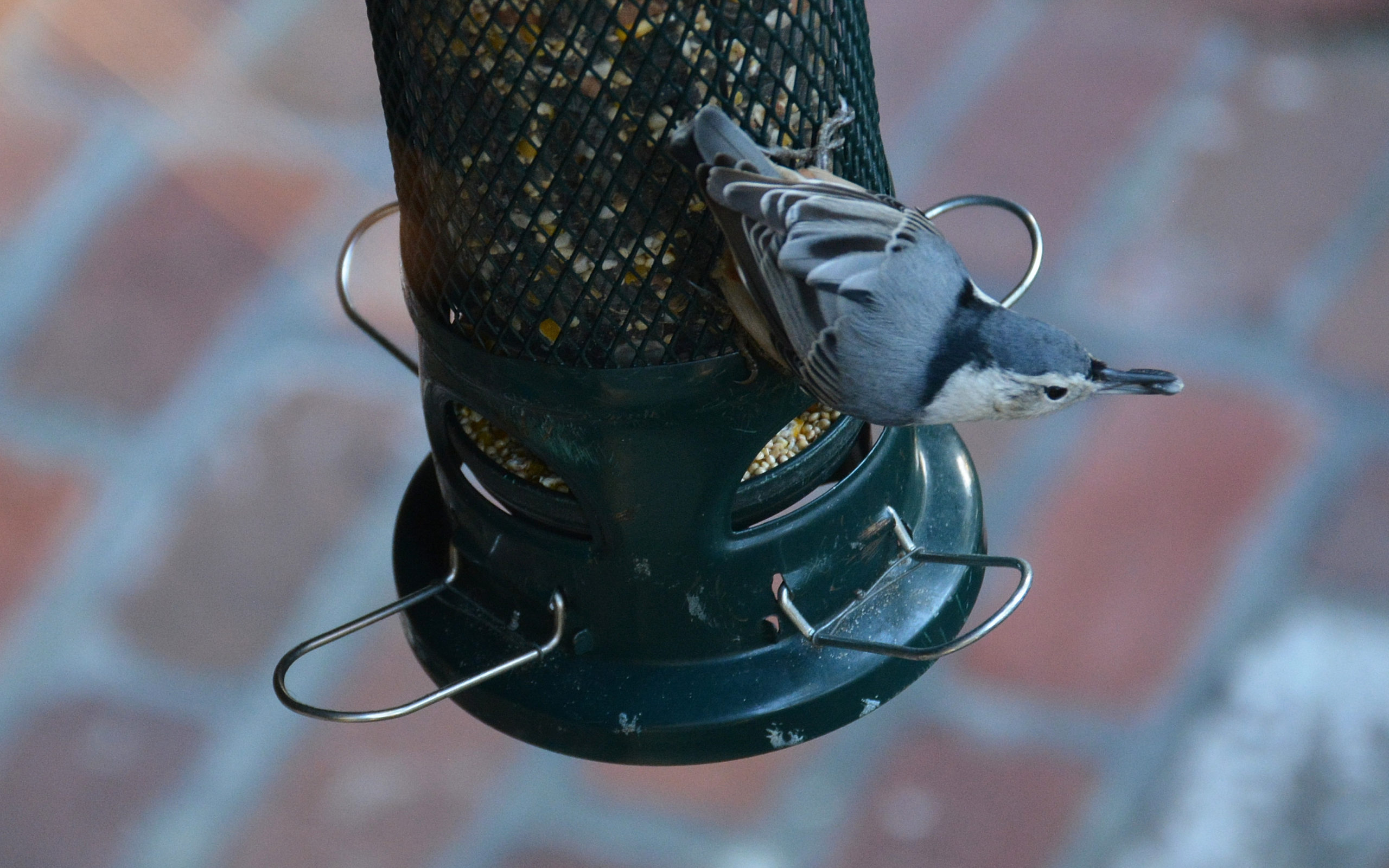 Additional Image 2