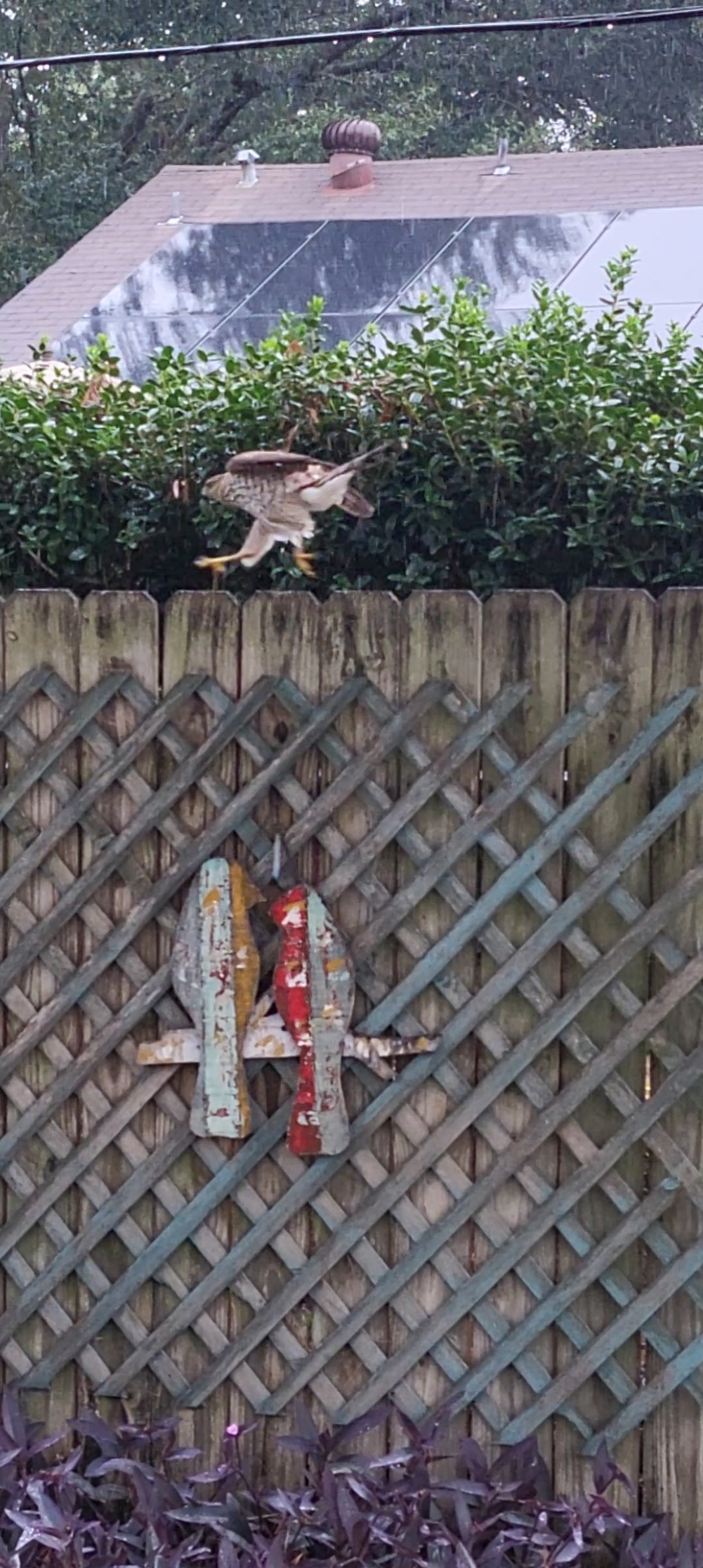 Additional Image 3
