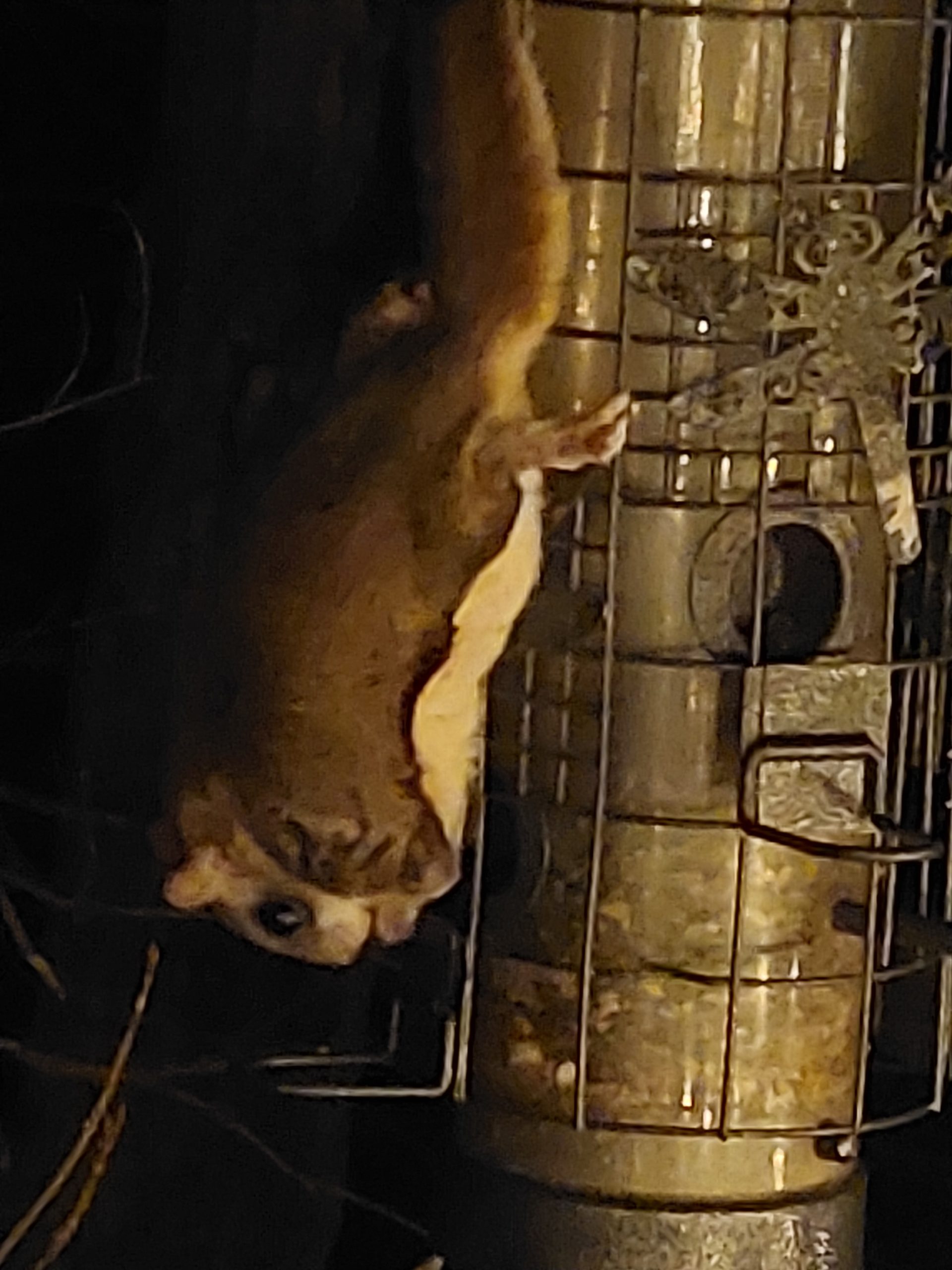 Additional Image 2