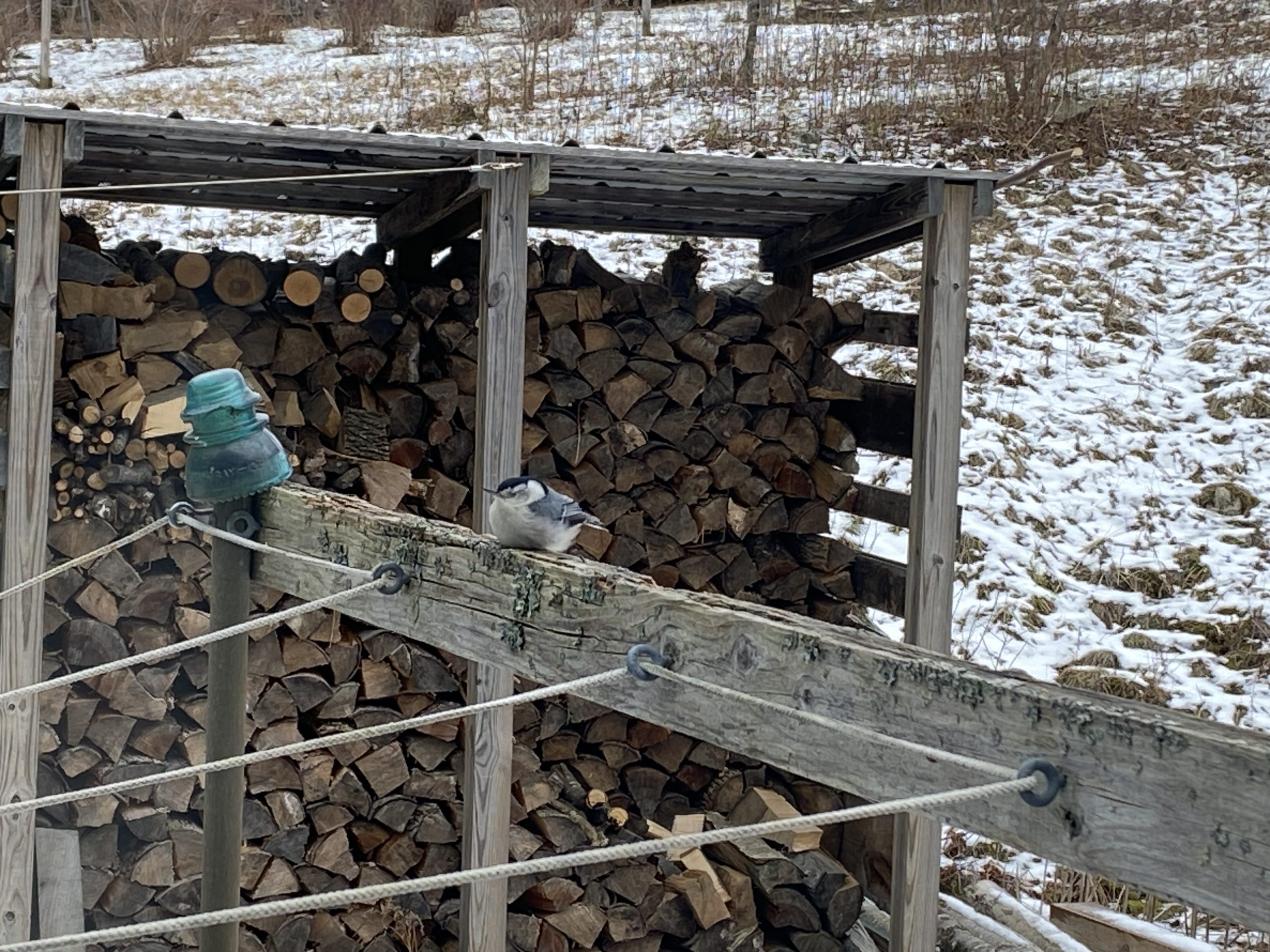 Additional Image 5