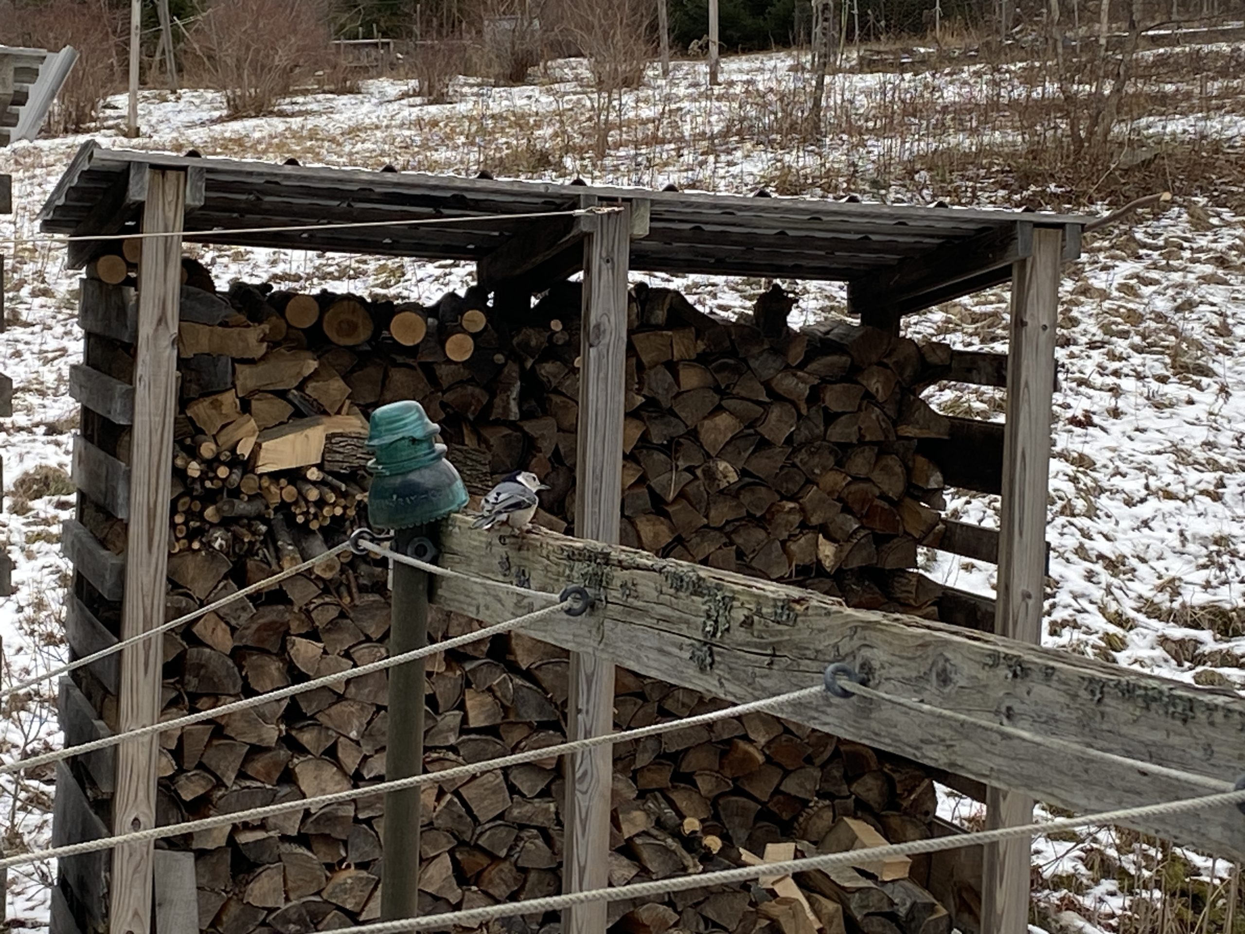 Additional Image 4