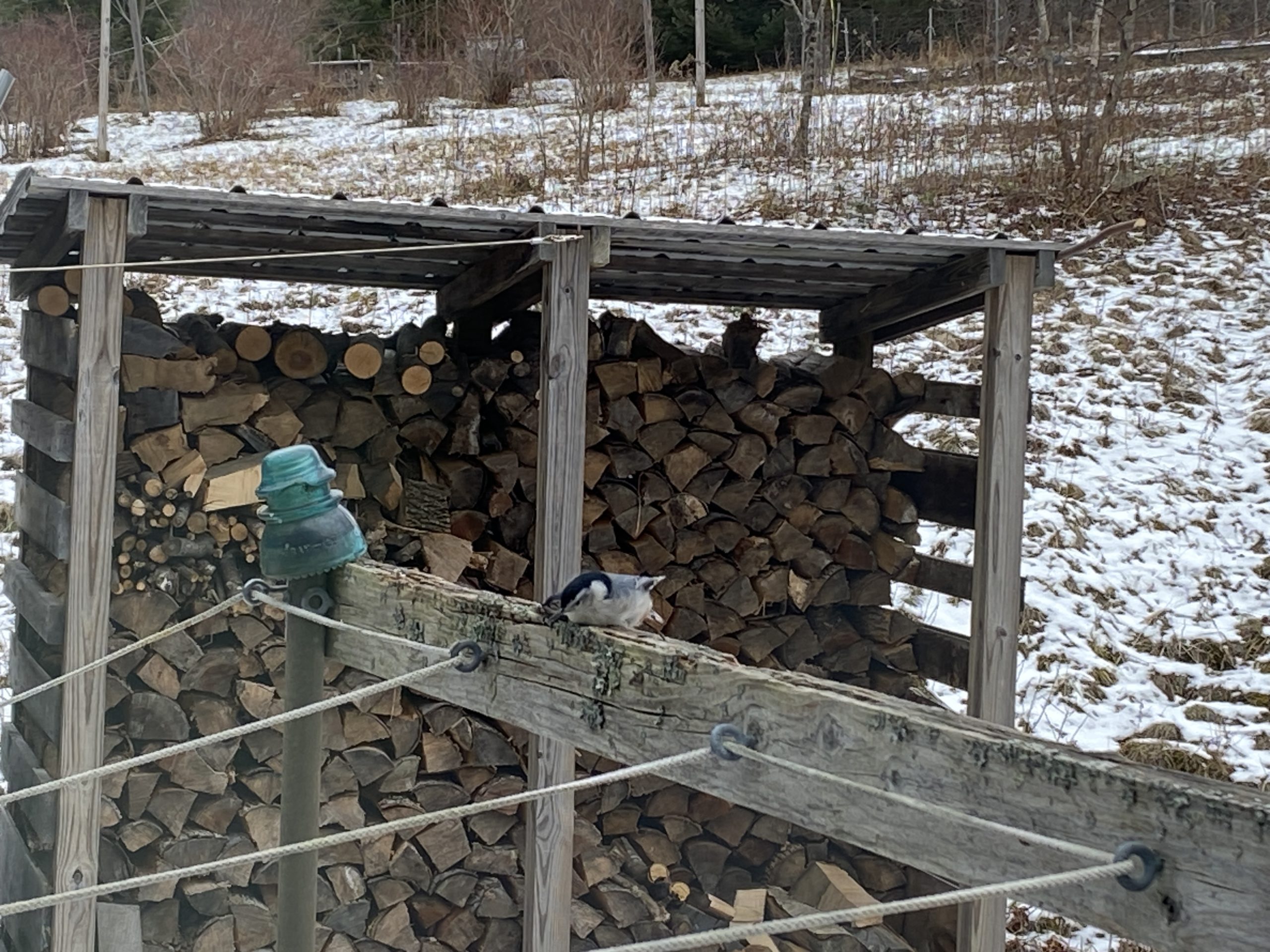 Additional Image 3