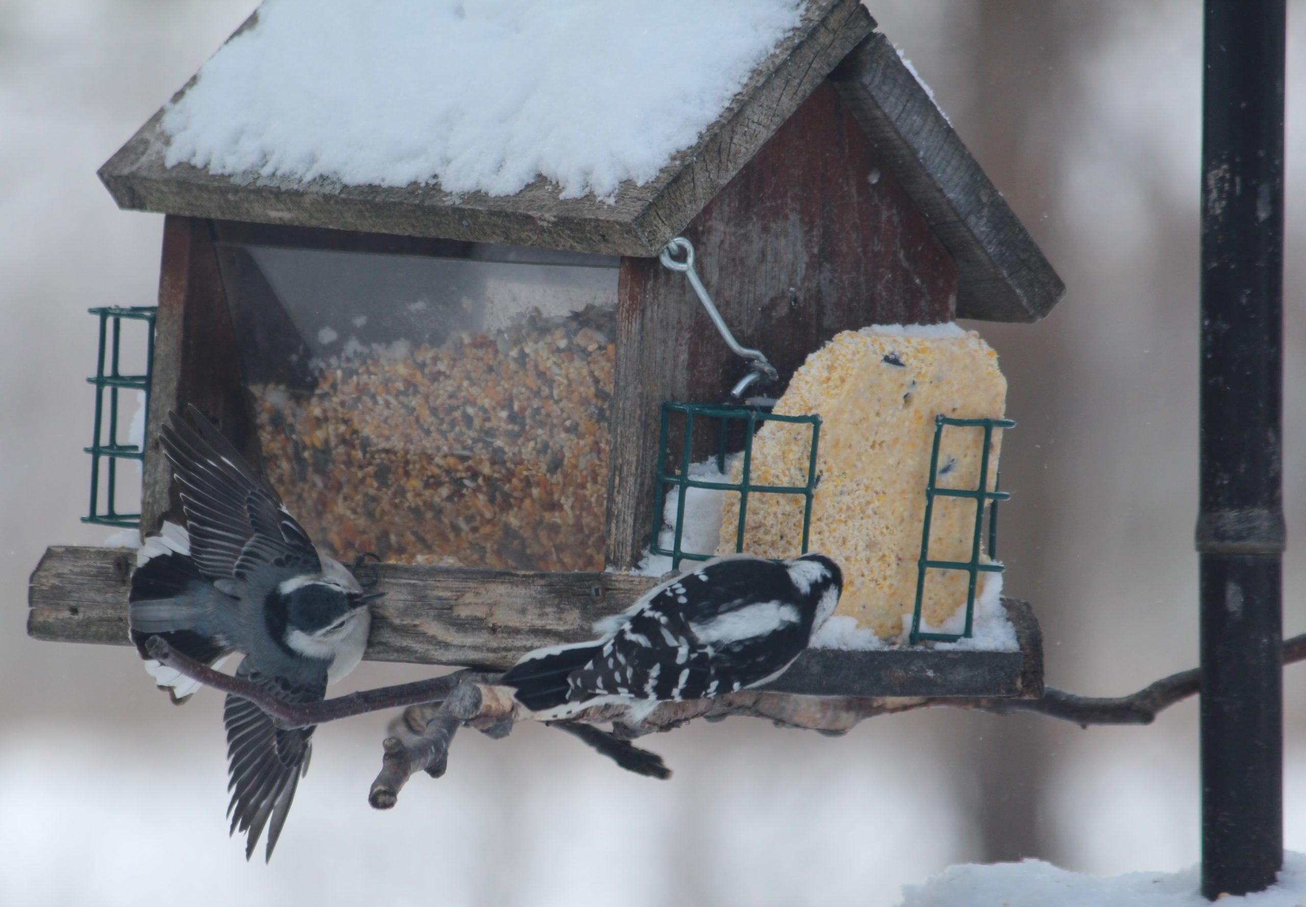 Additional Image 4