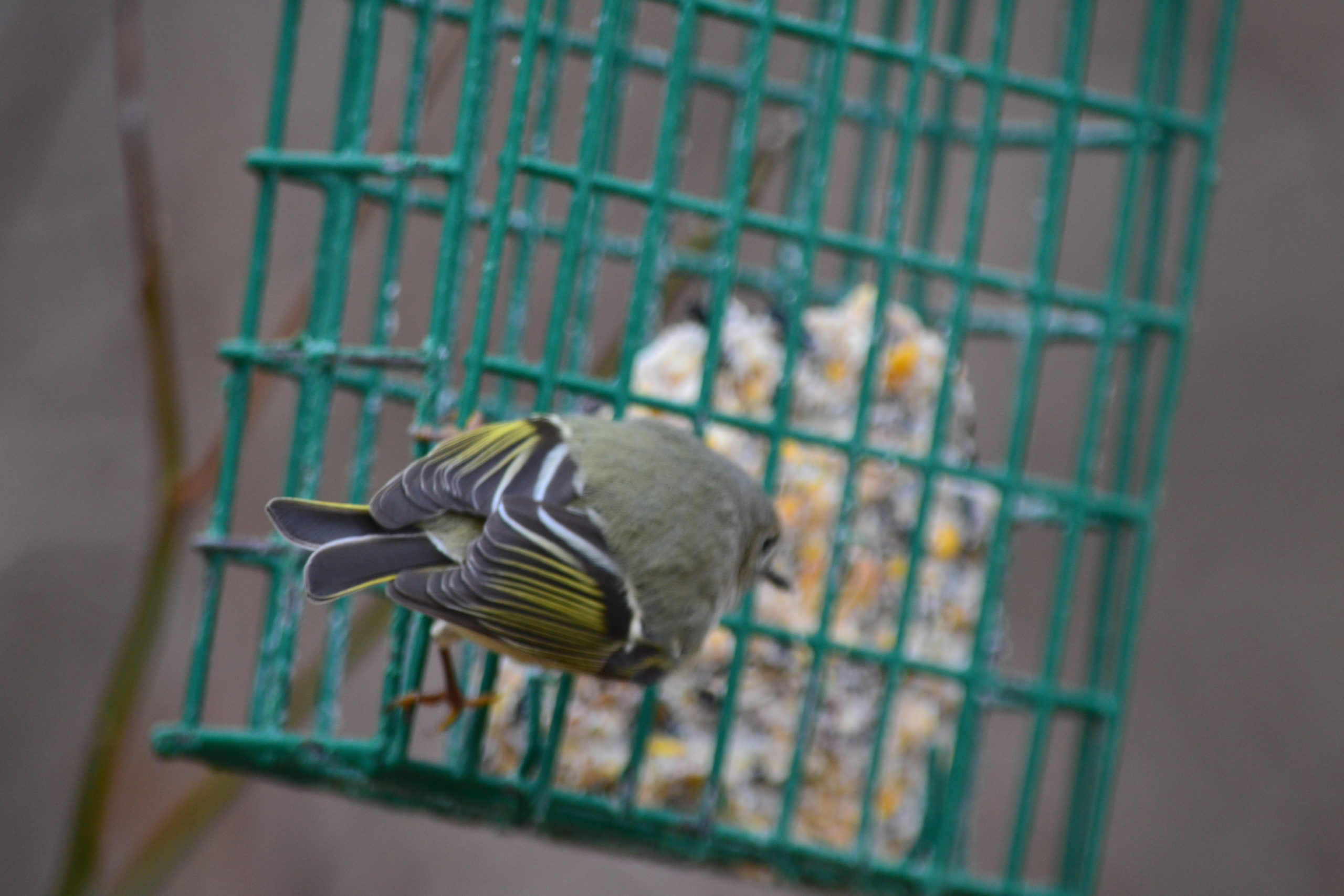 Additional Image 3