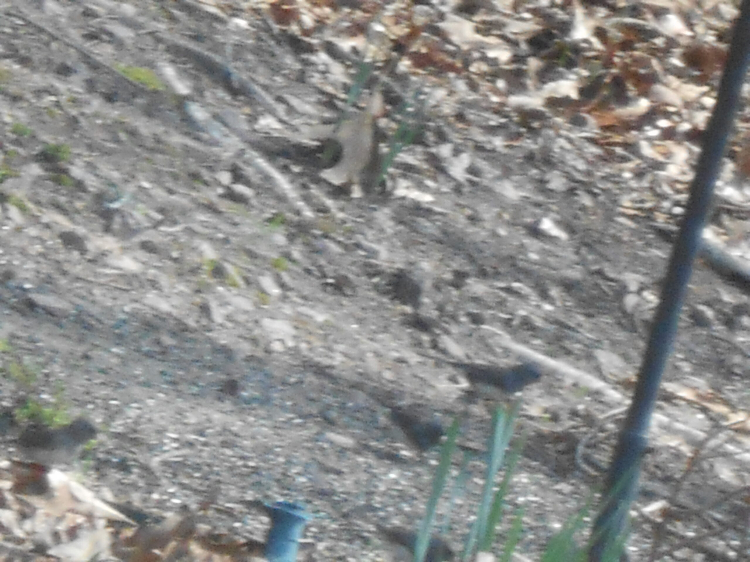 Additional Image 3