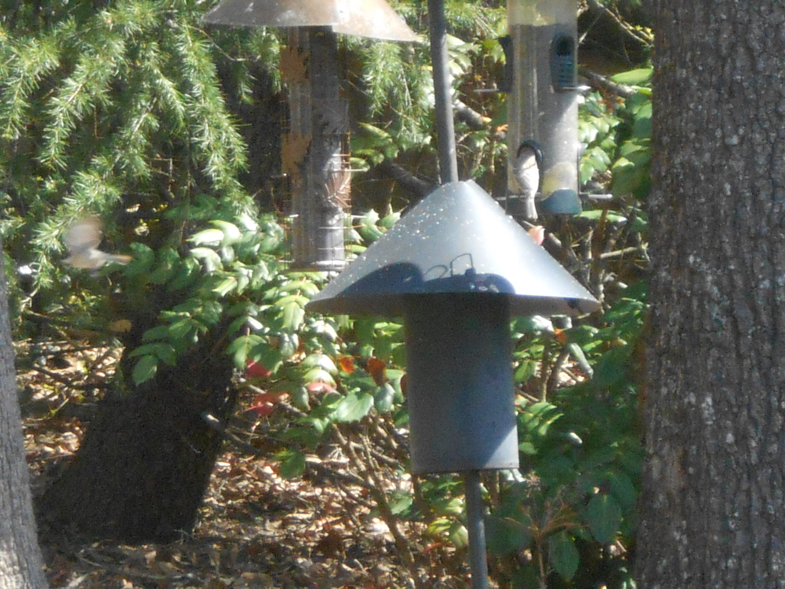 Additional Image 2
