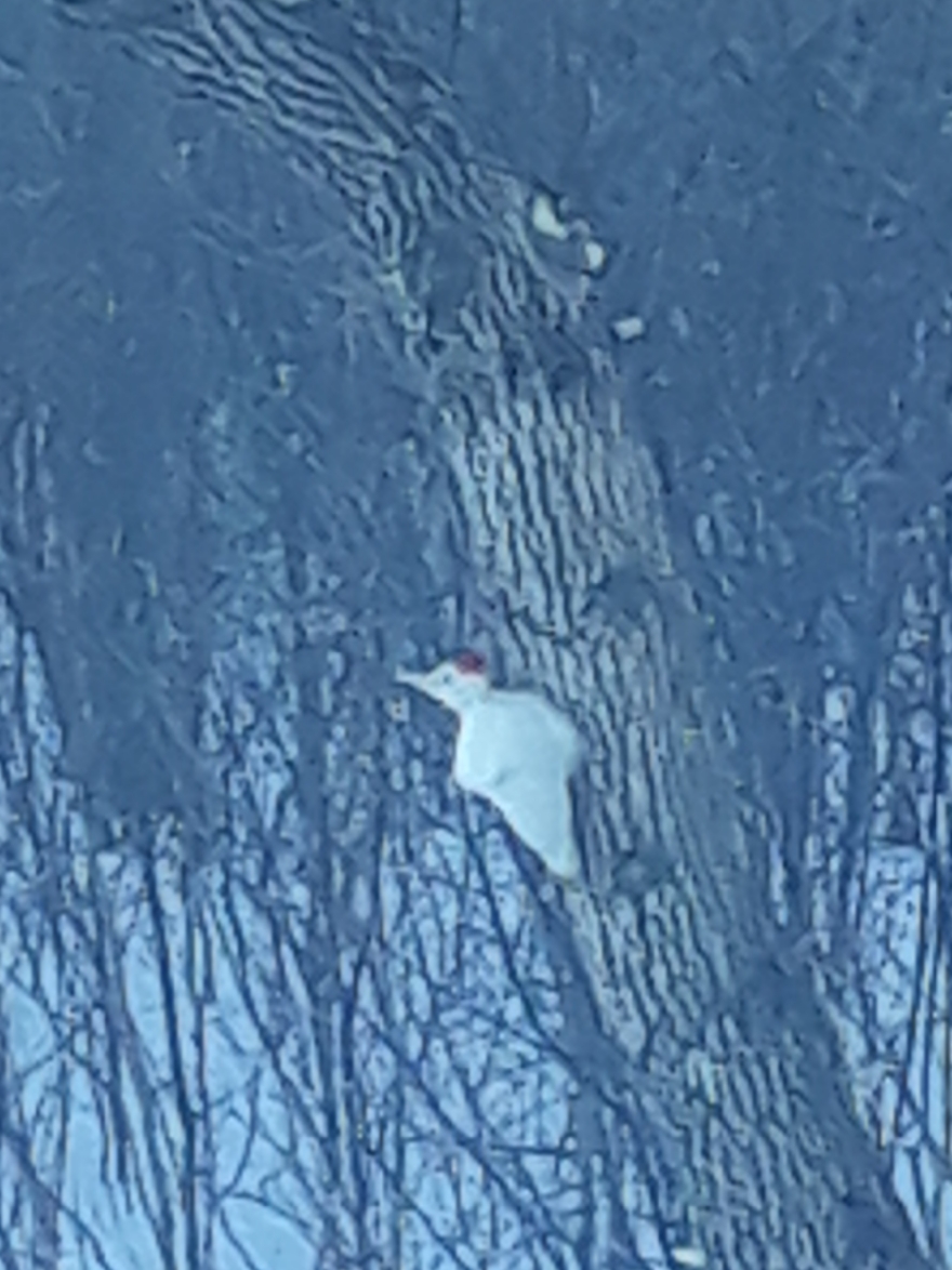 Additional Image 2