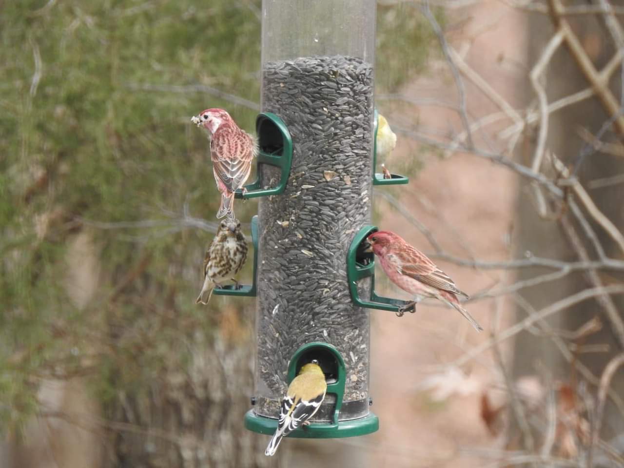 Additional Image 2