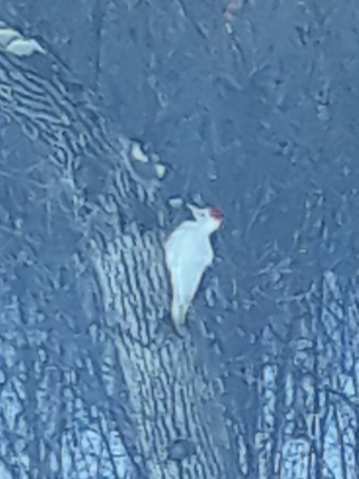 Additional Image 3