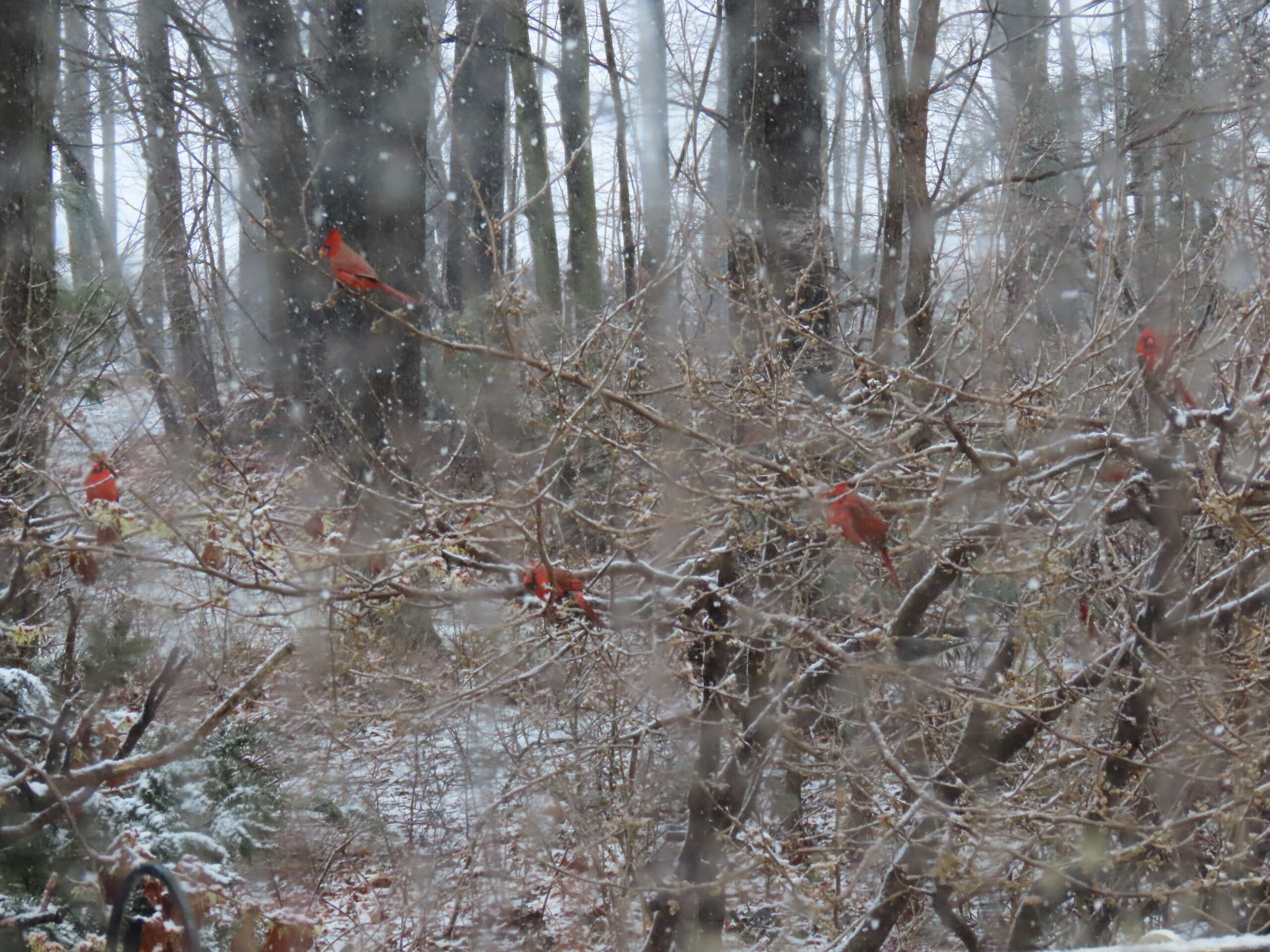 Additional Image 2