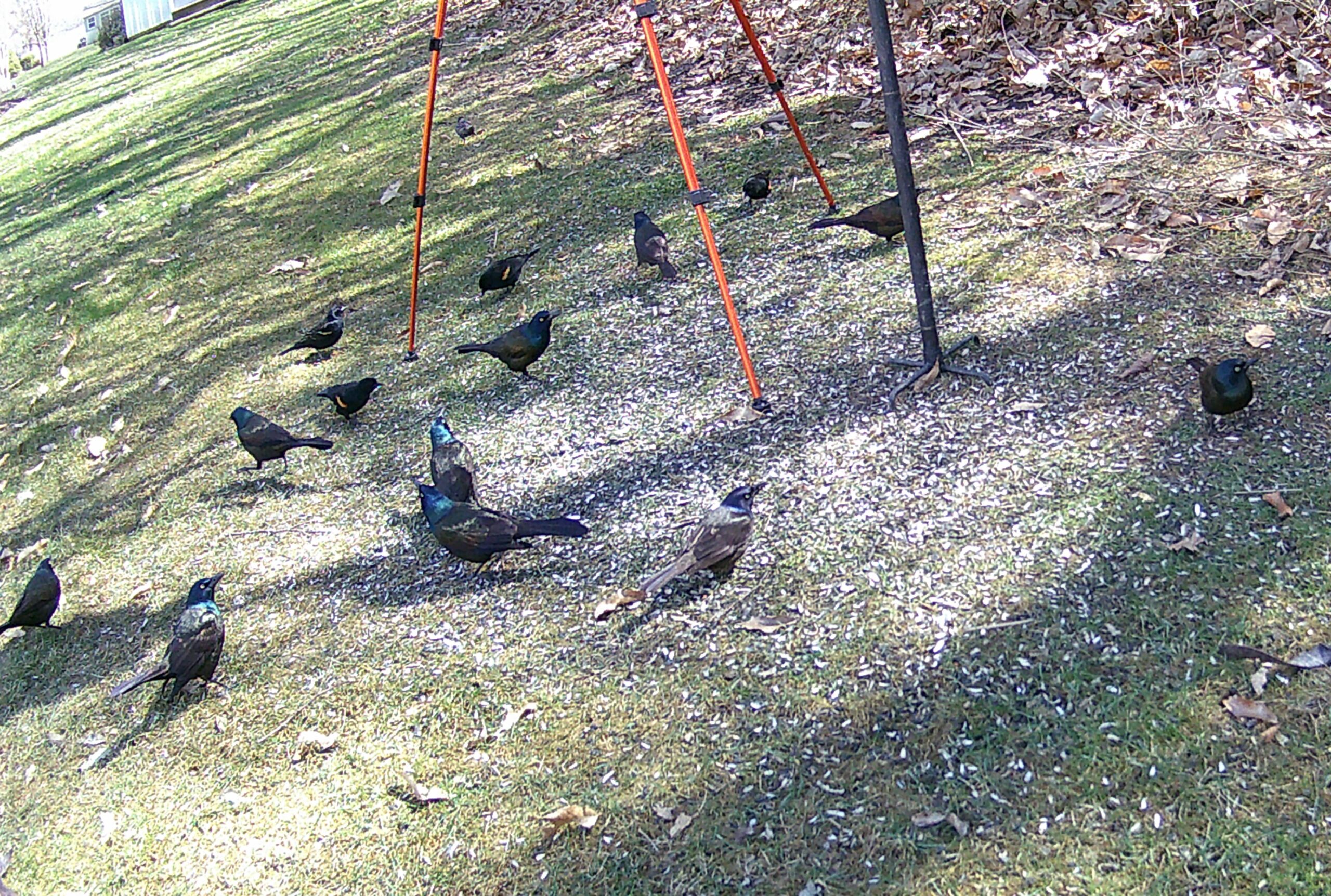 Additional Image 2