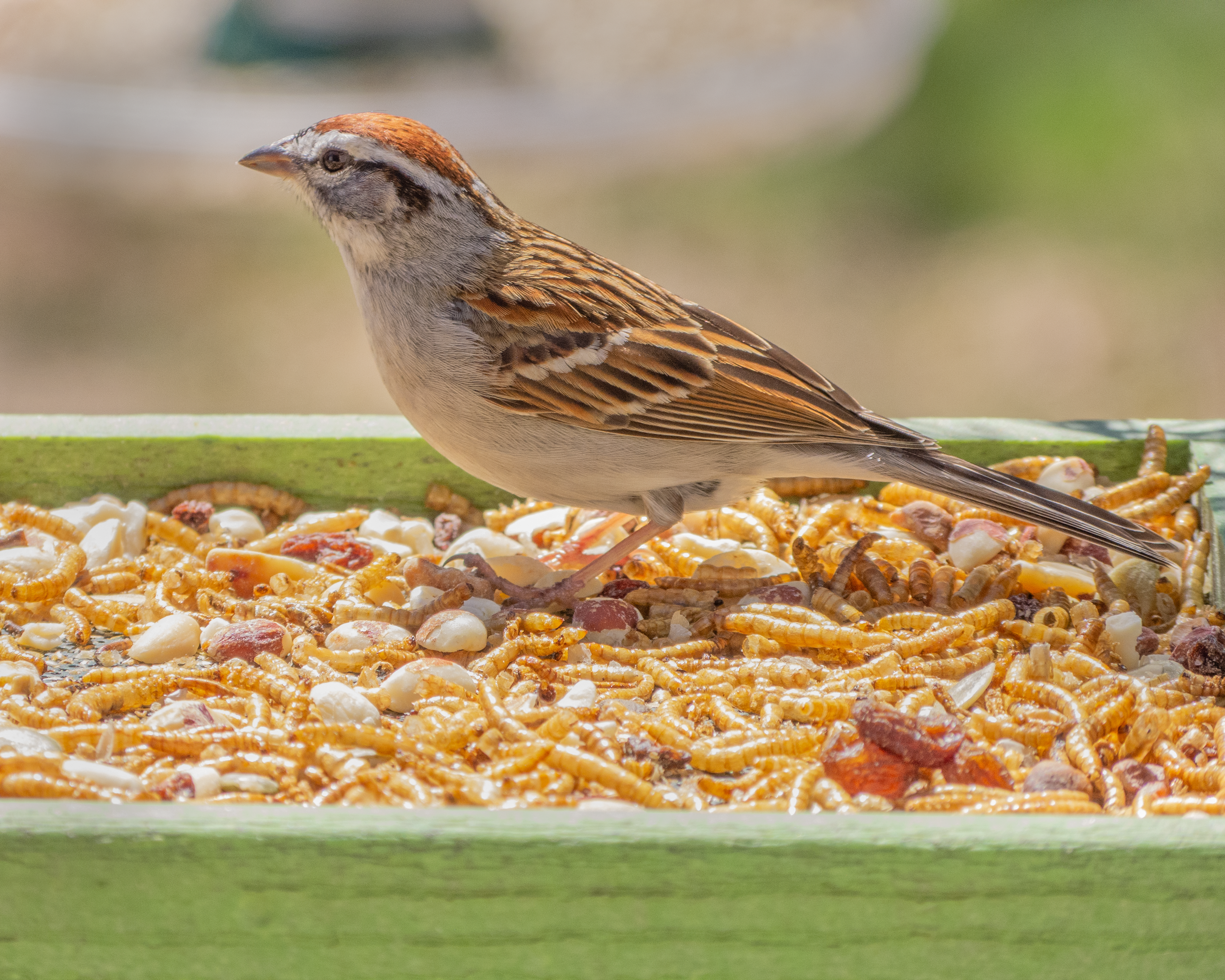 Featured Image