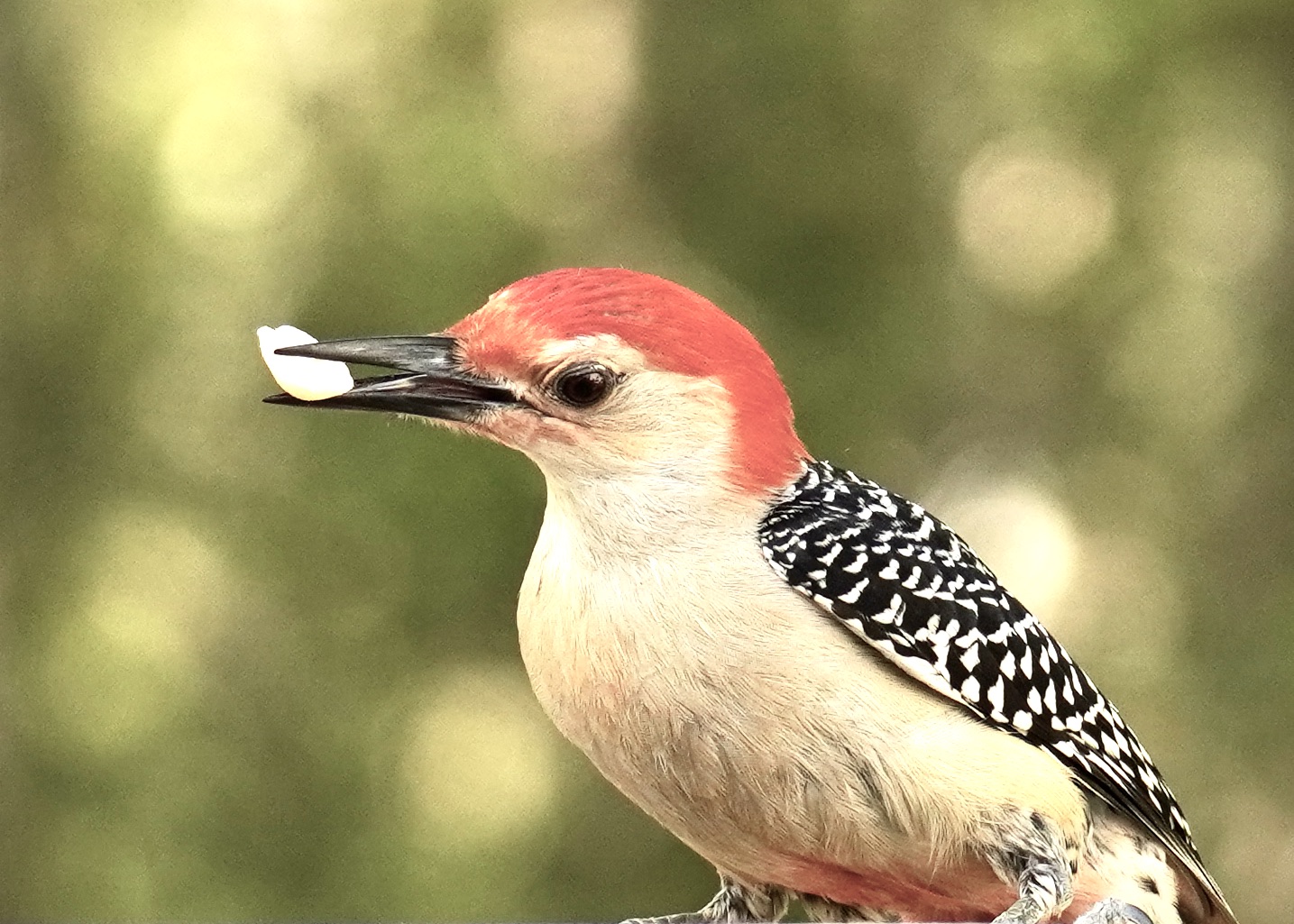 Featured Image