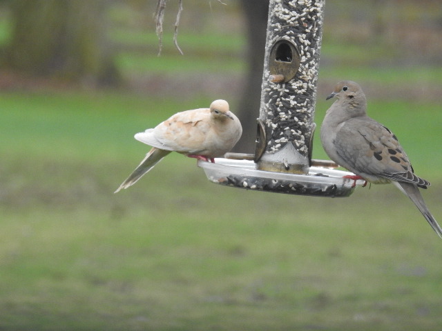 Additional Image 2