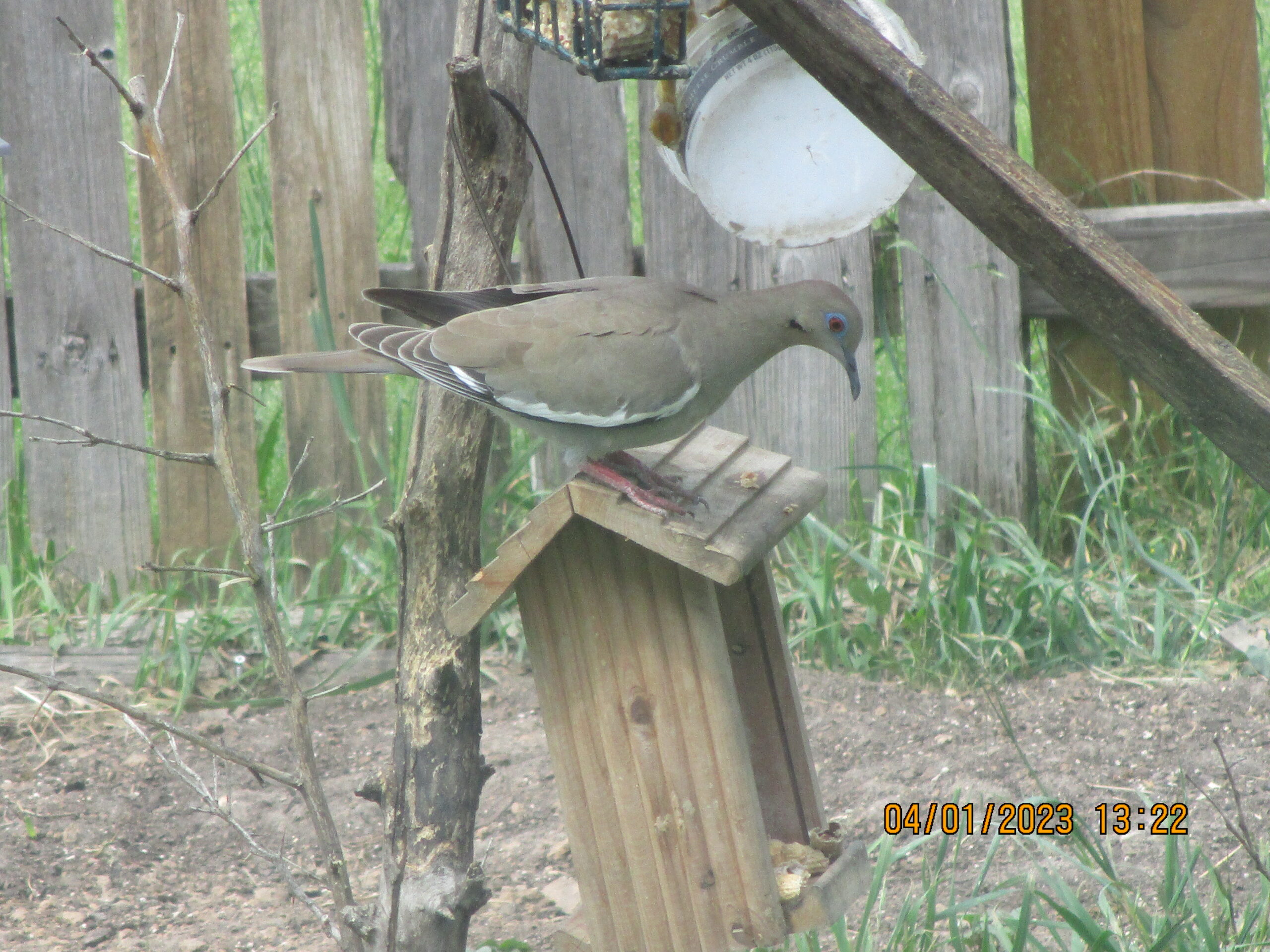 Additional Image 2