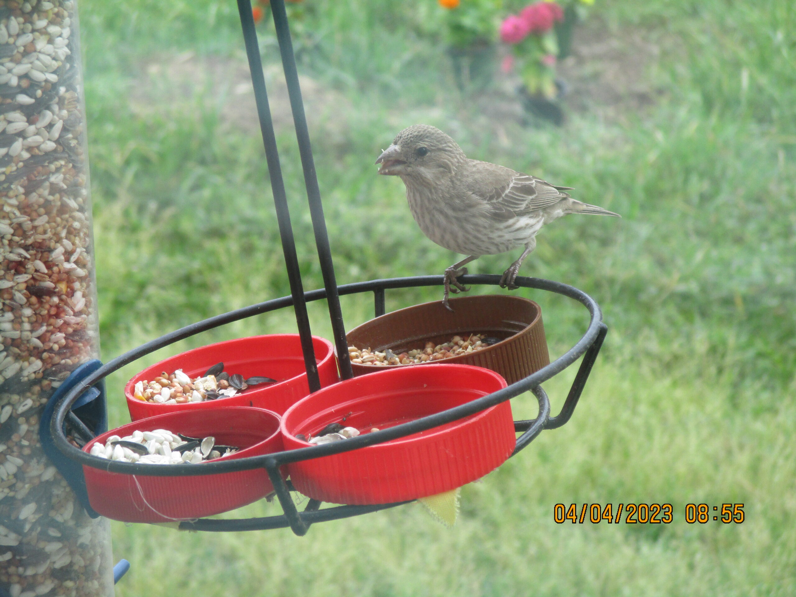 Additional Image 4