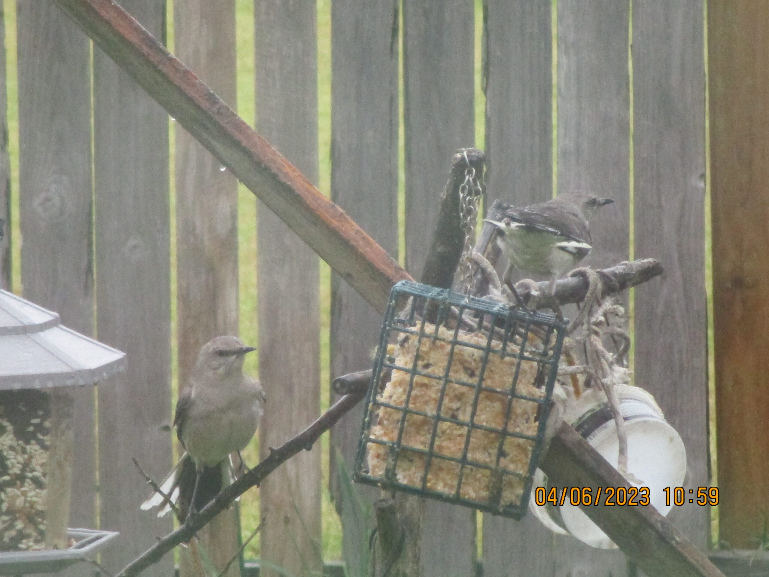 Additional Image 2