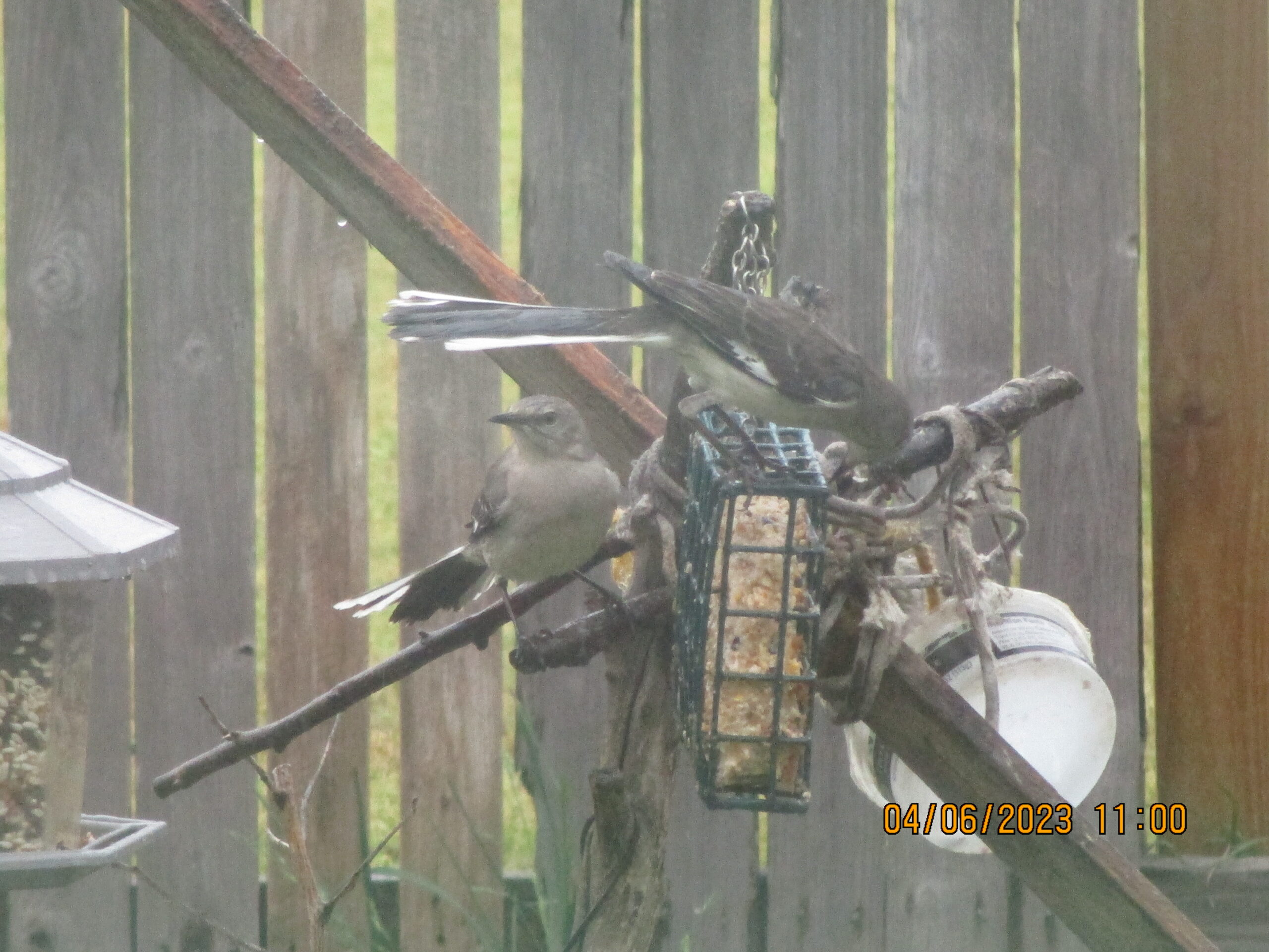Additional Image 3