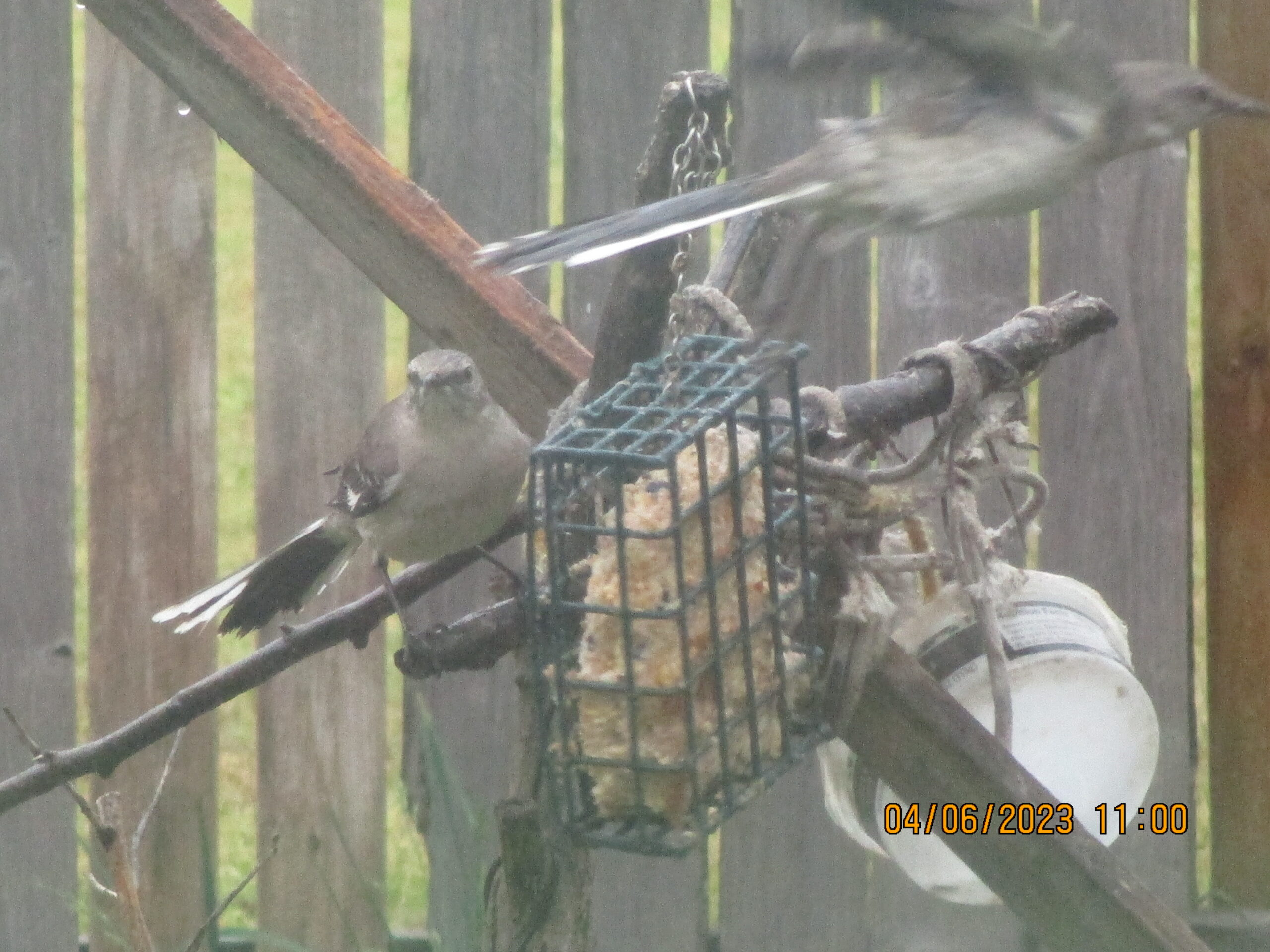 Additional Image 4