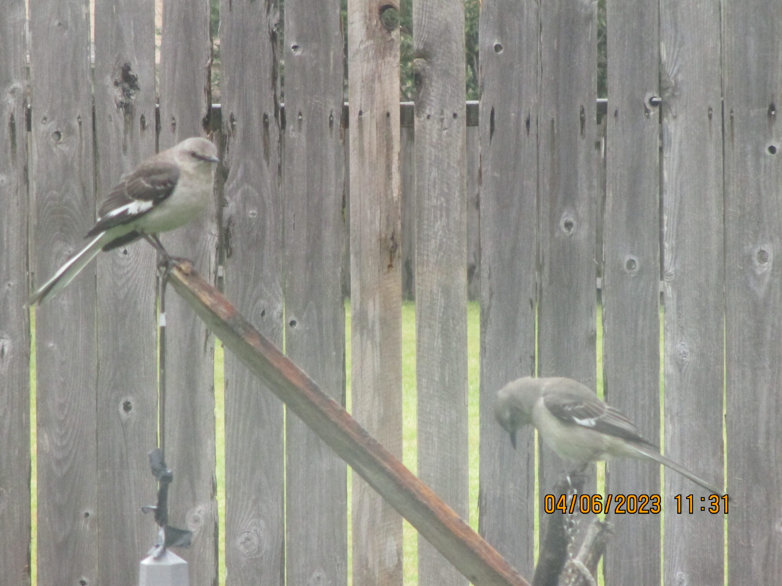 Additional Image 2