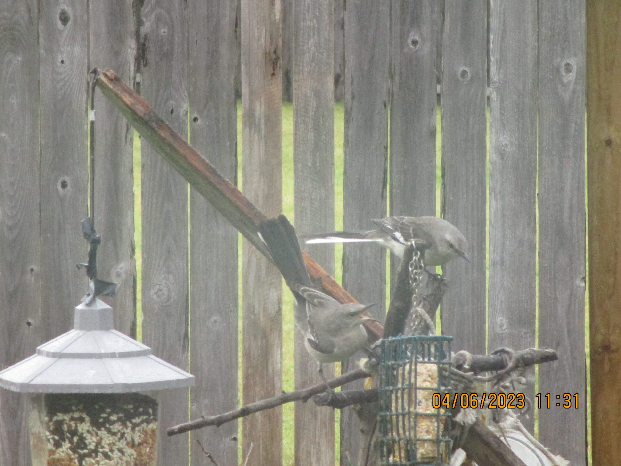 Additional Image 3