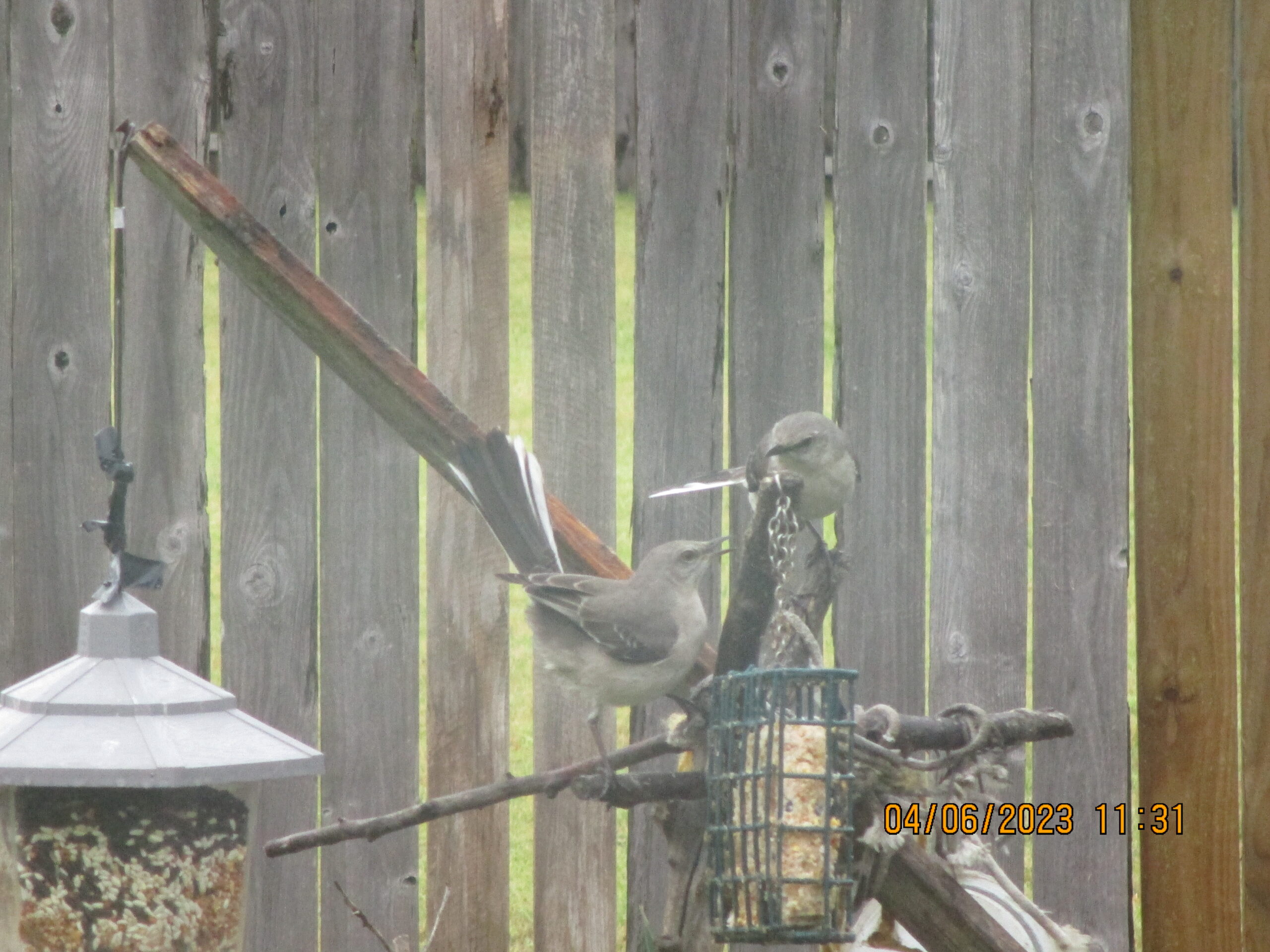 Additional Image 4