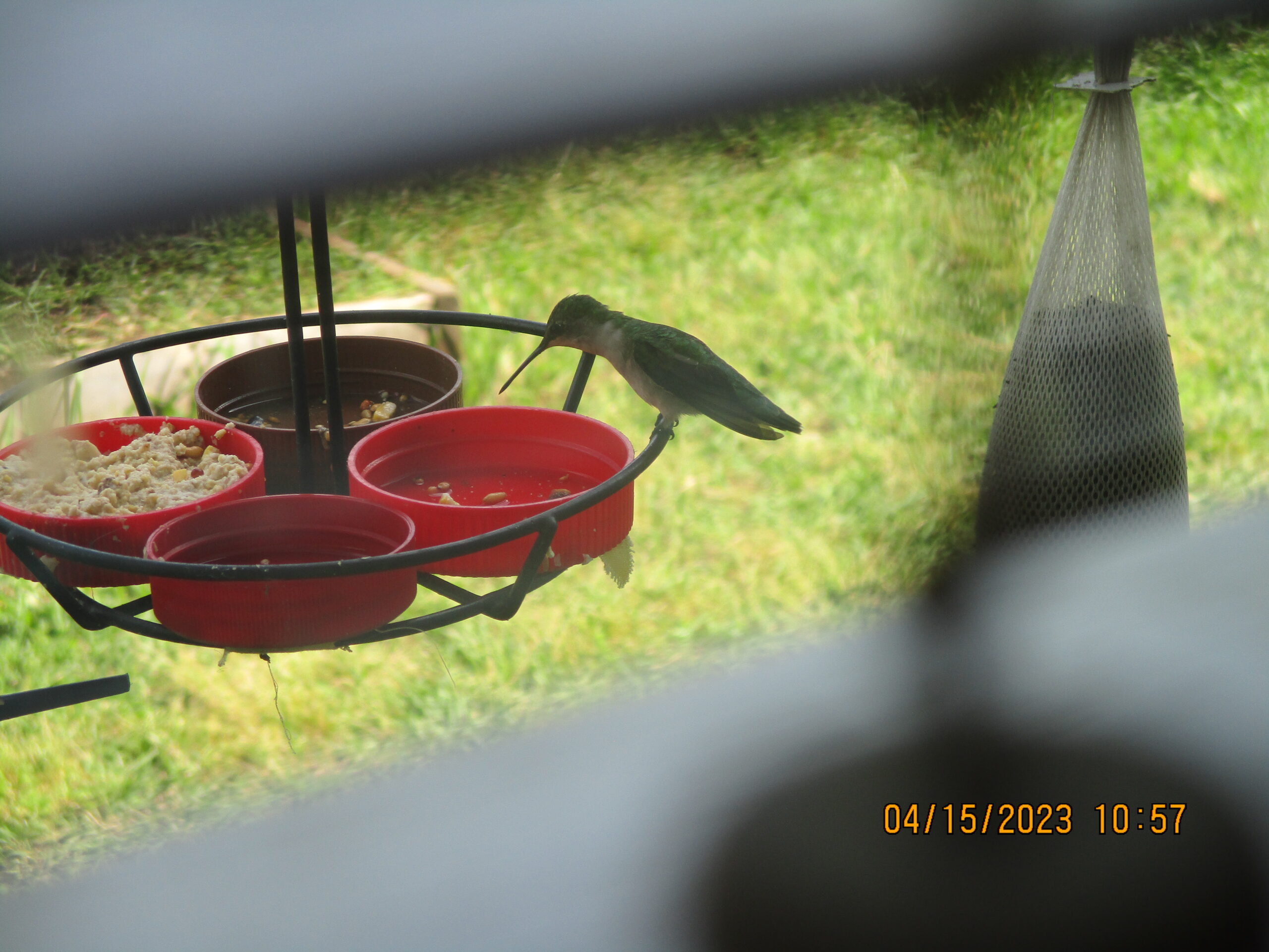Additional Image 2