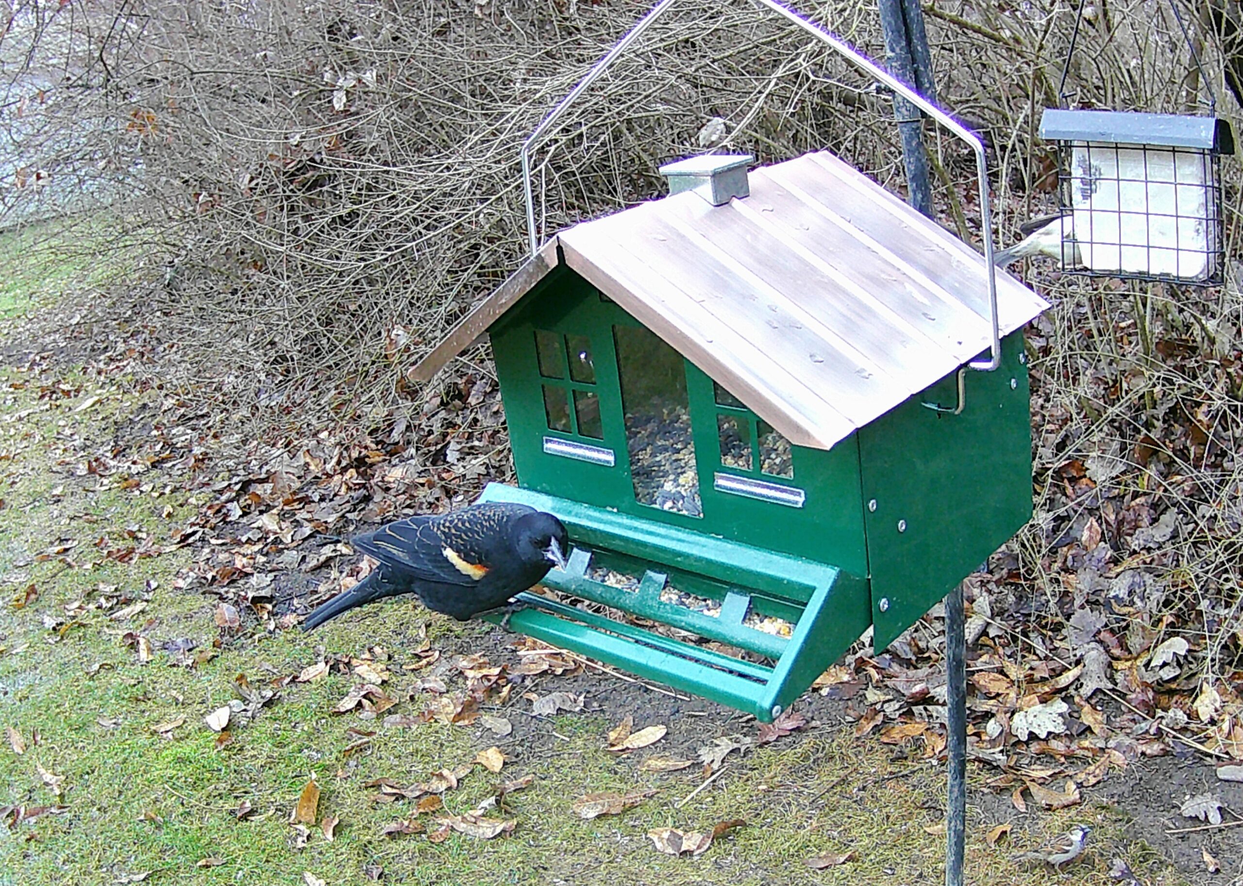 Additional Image 3