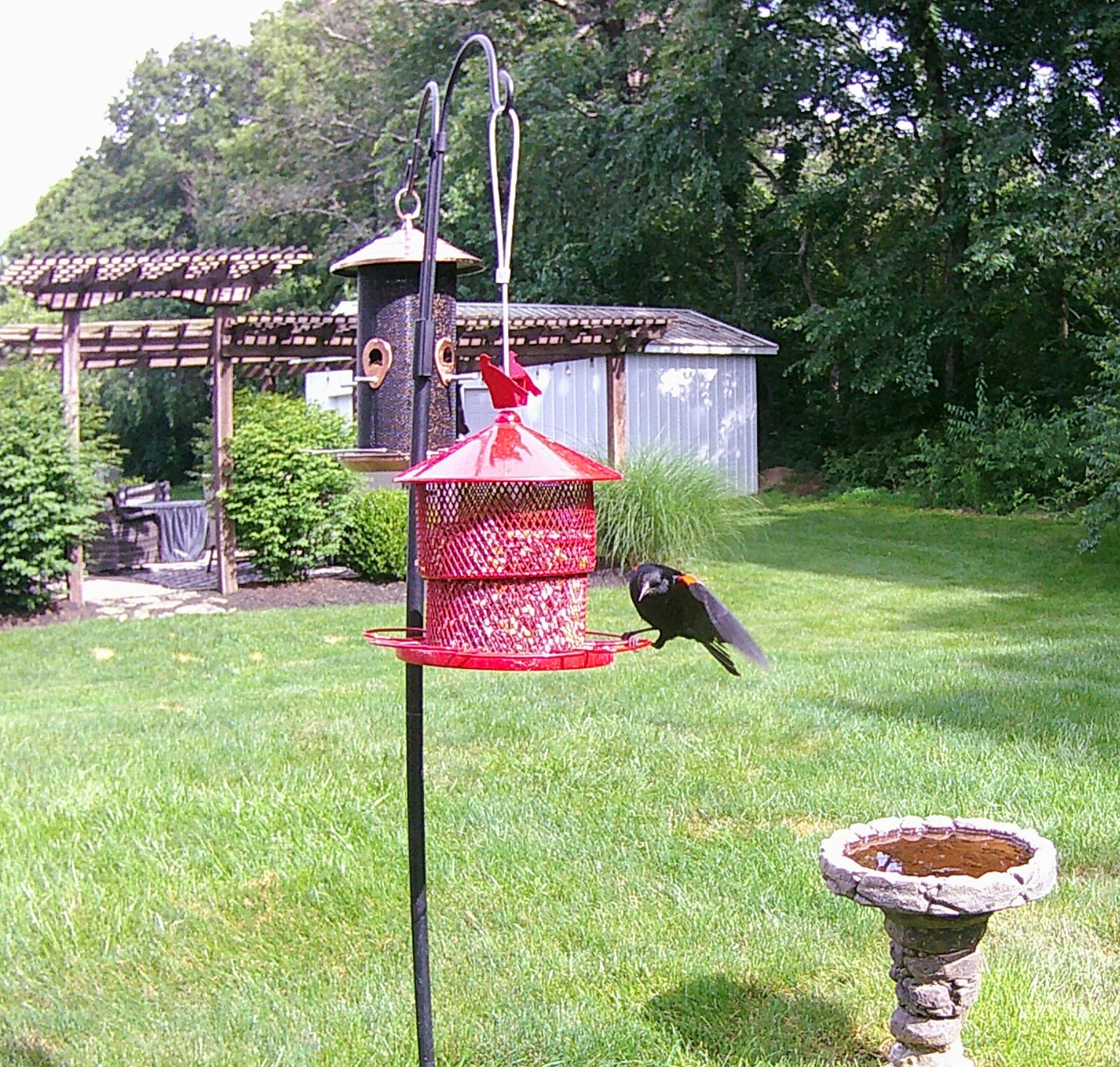 Additional Image 4