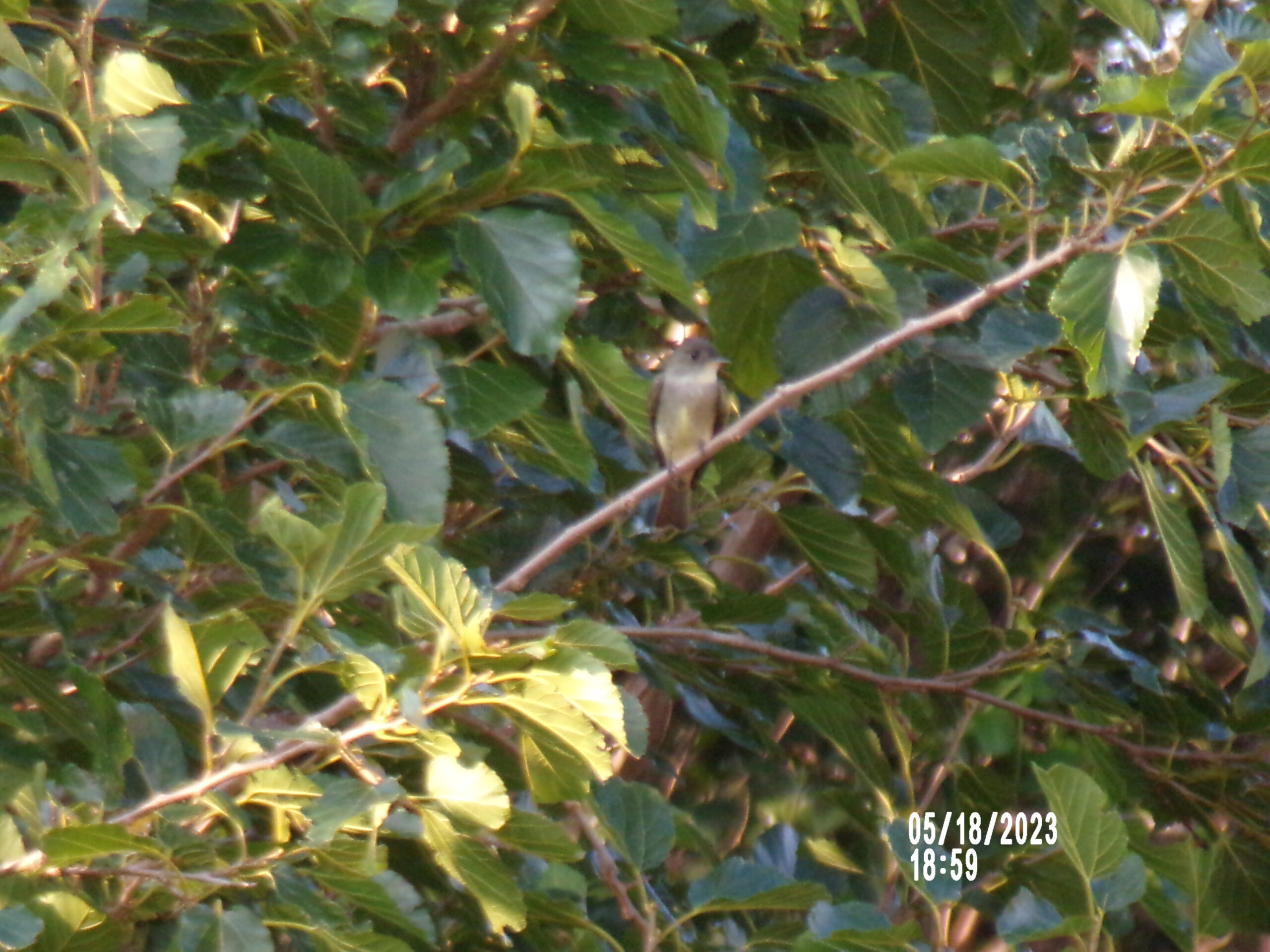 Additional Image 3