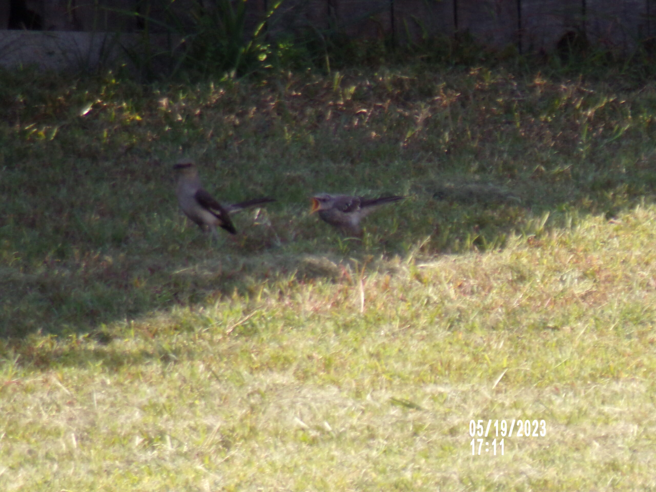 Additional Image 4