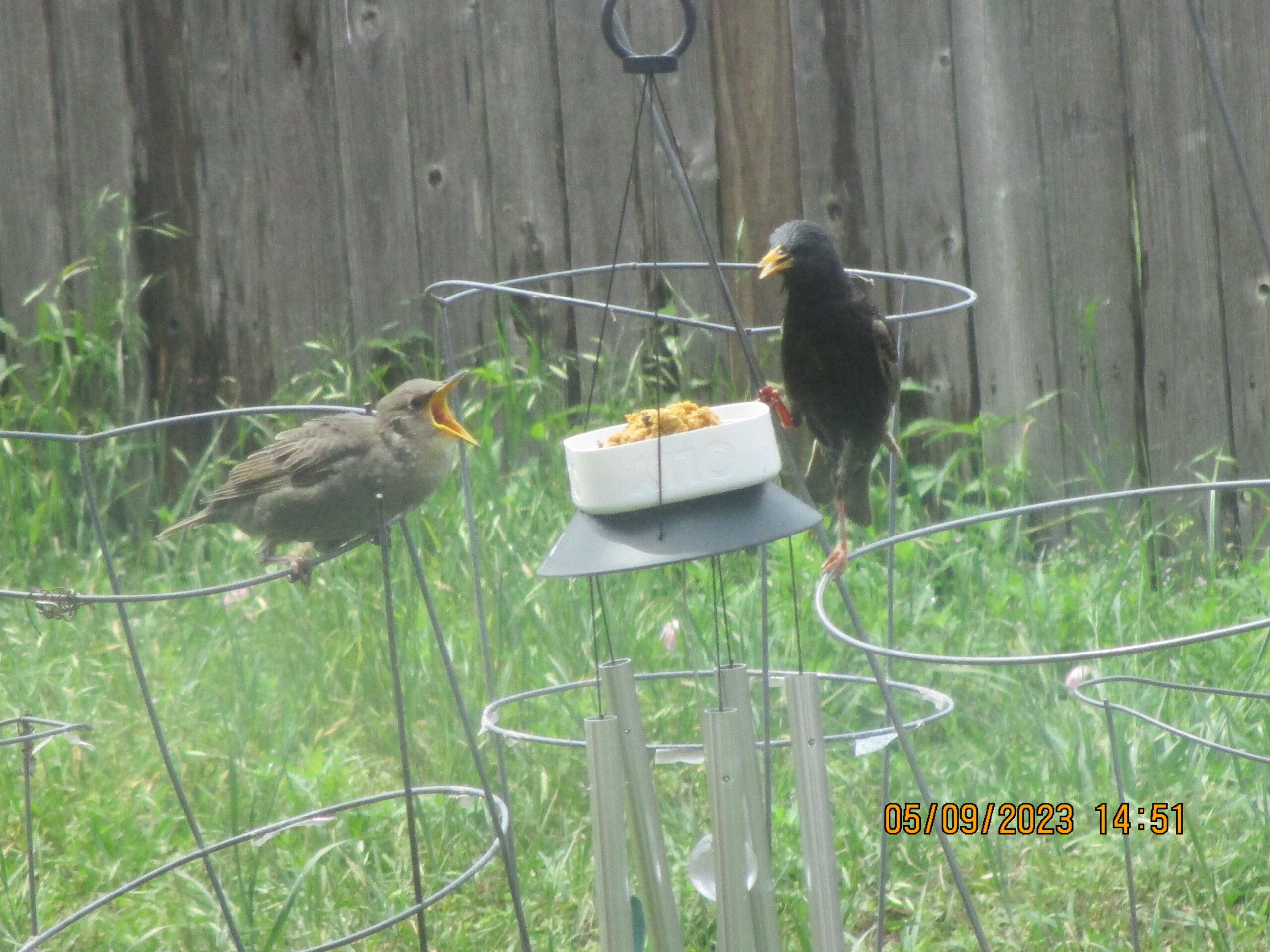 Additional Image 3