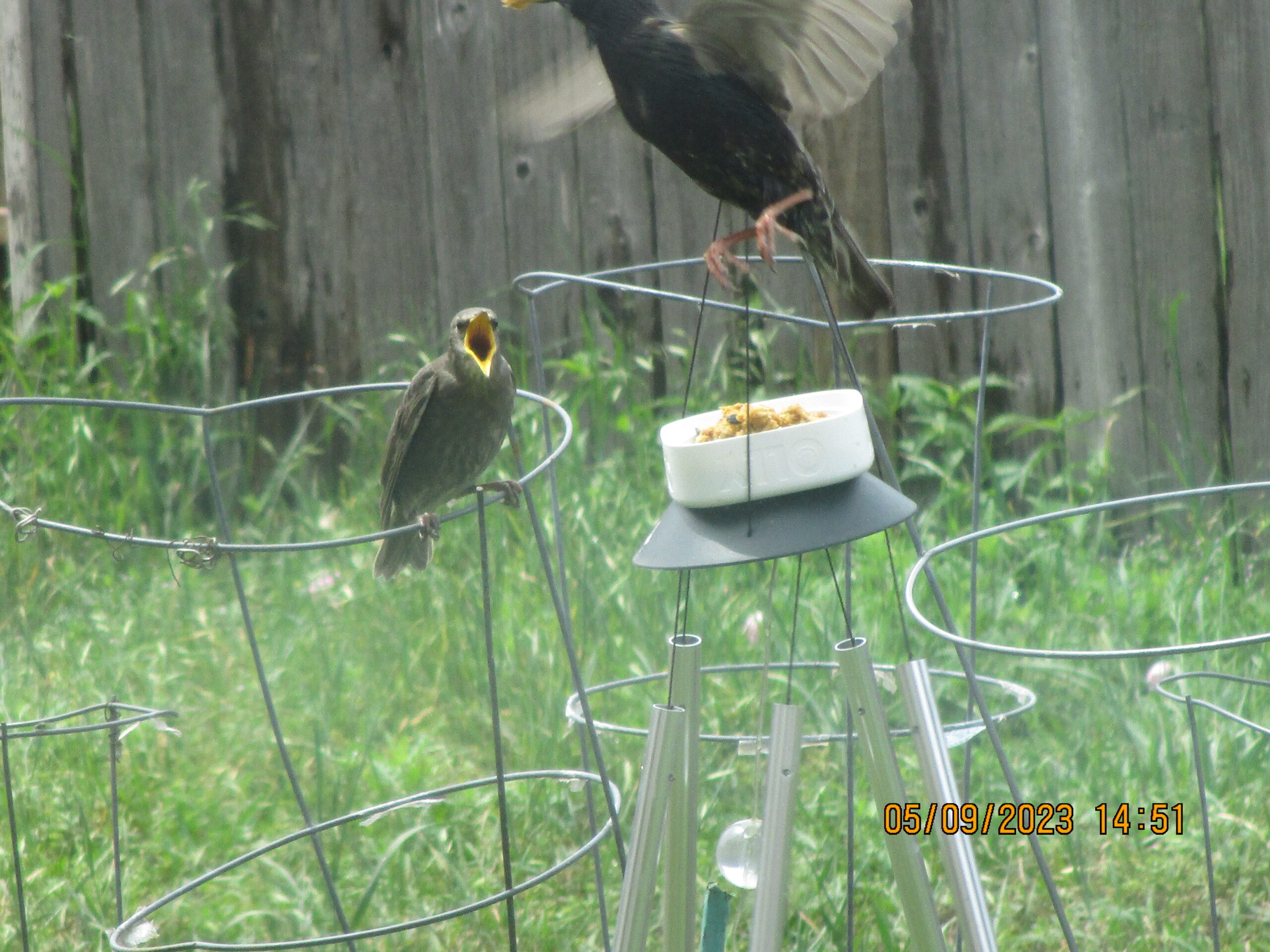 Additional Image 2