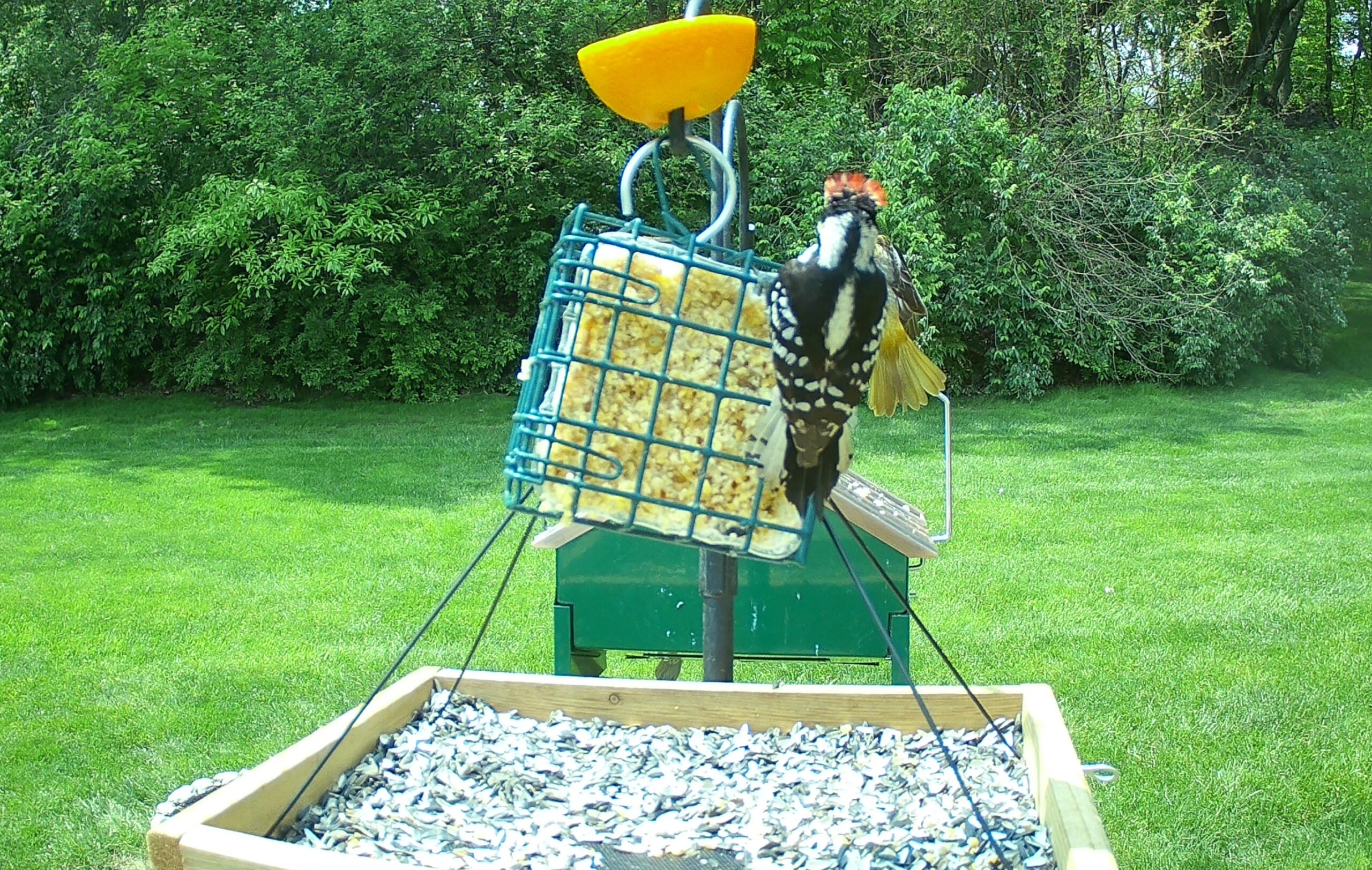 Additional Image 3