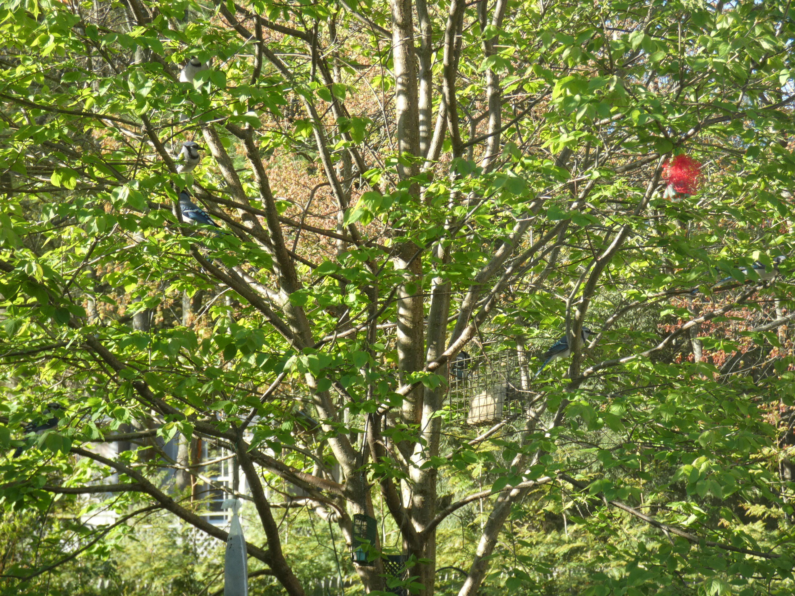 Additional Image 3