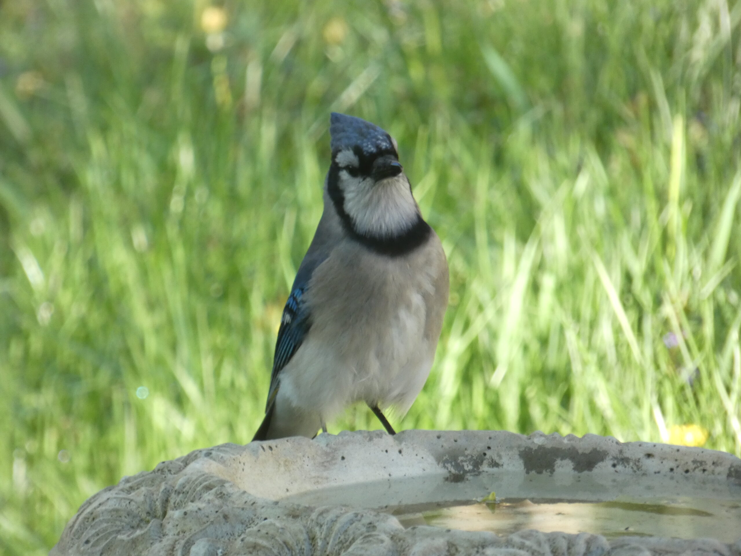 Additional Image 2