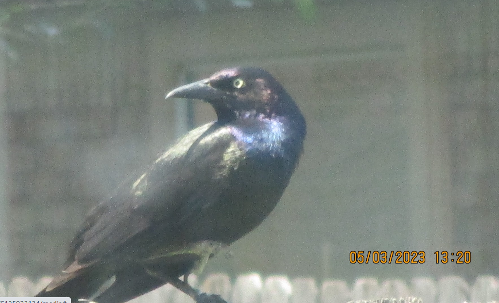 Additional Image 2