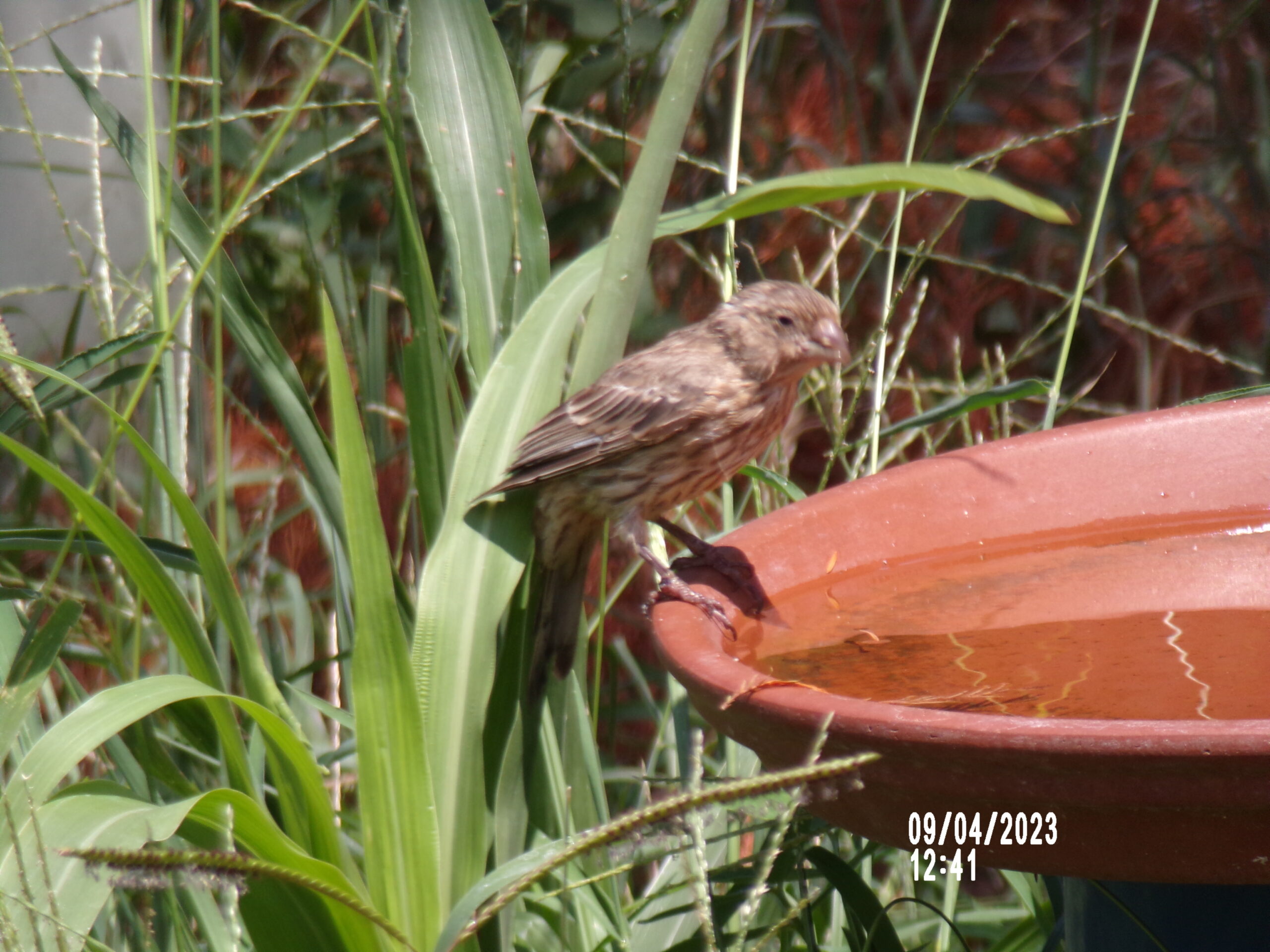Additional Image 5